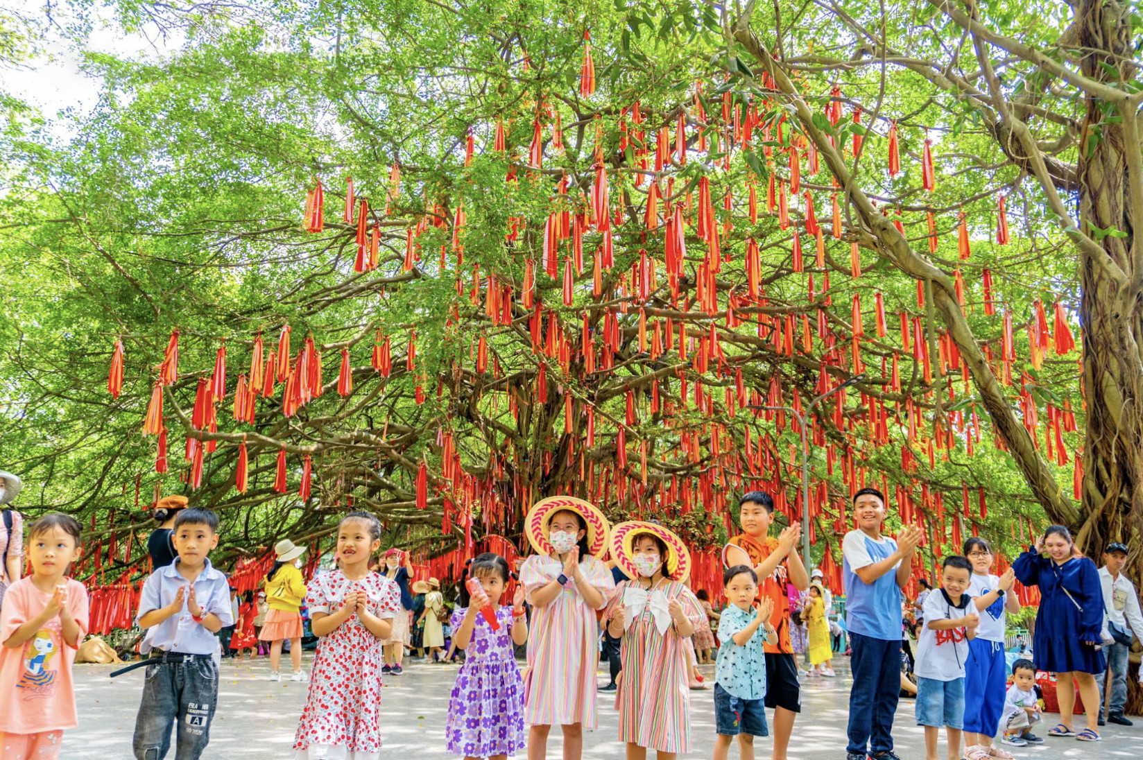 “Cây ước nguyện” hơn 300 tuổi ở Sài Gòn thu hút giới trẻ đến check-in đầu năm mới- Ảnh 1.
