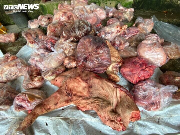 3 tấn thịt đông lạnh bốc mùi ở Huế: Có mẫu nhiễm Ecoli gấp 60 lần mức cho phép - Ảnh 1.