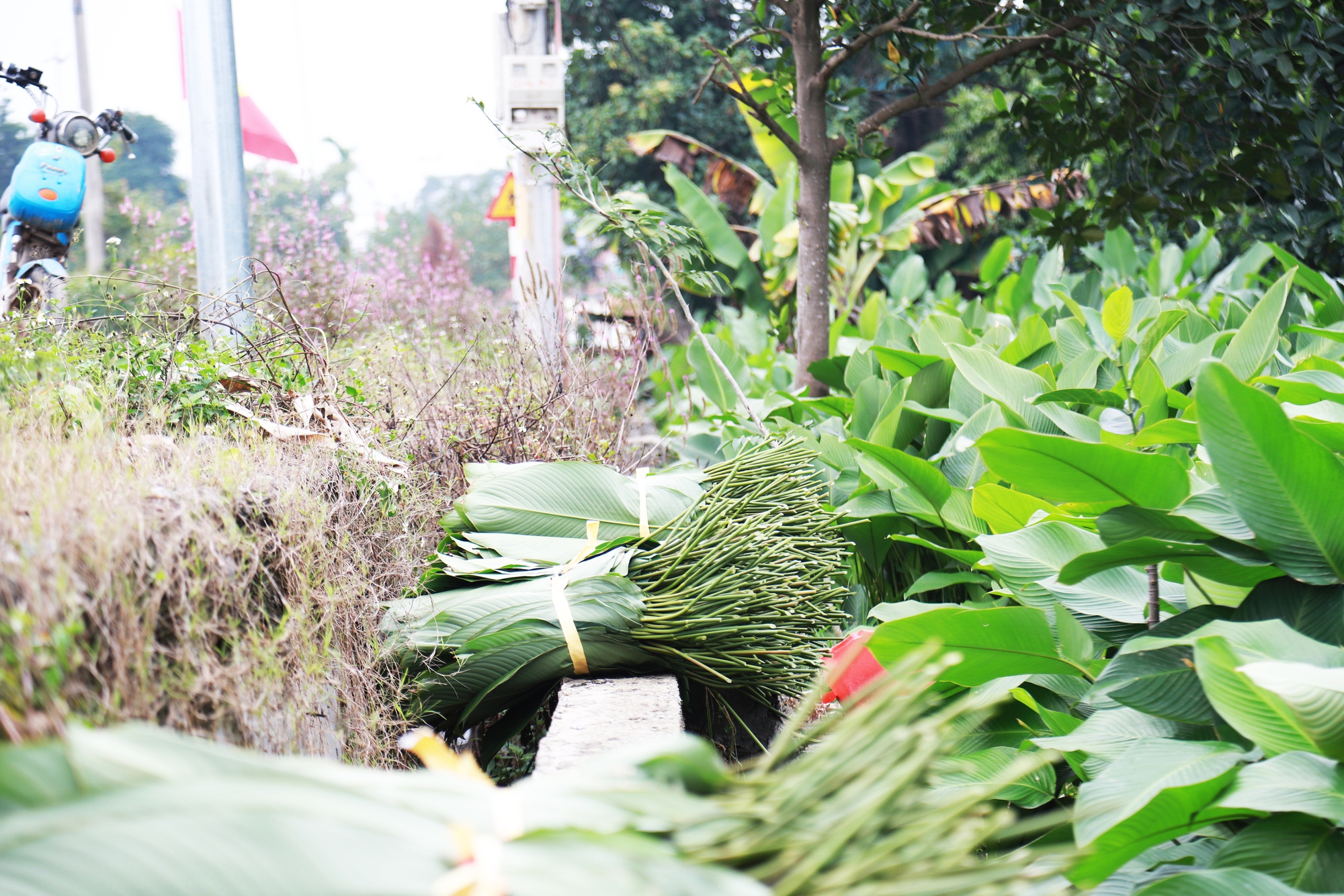 Hà Nội: Người dân bội thu dịp cuối năm nhờ giữ được nghề truyền thống tạo ra thứ cứ đến Tết là cần, xuất khẩu sang cả Mỹ và châu Âu - Ảnh 1.