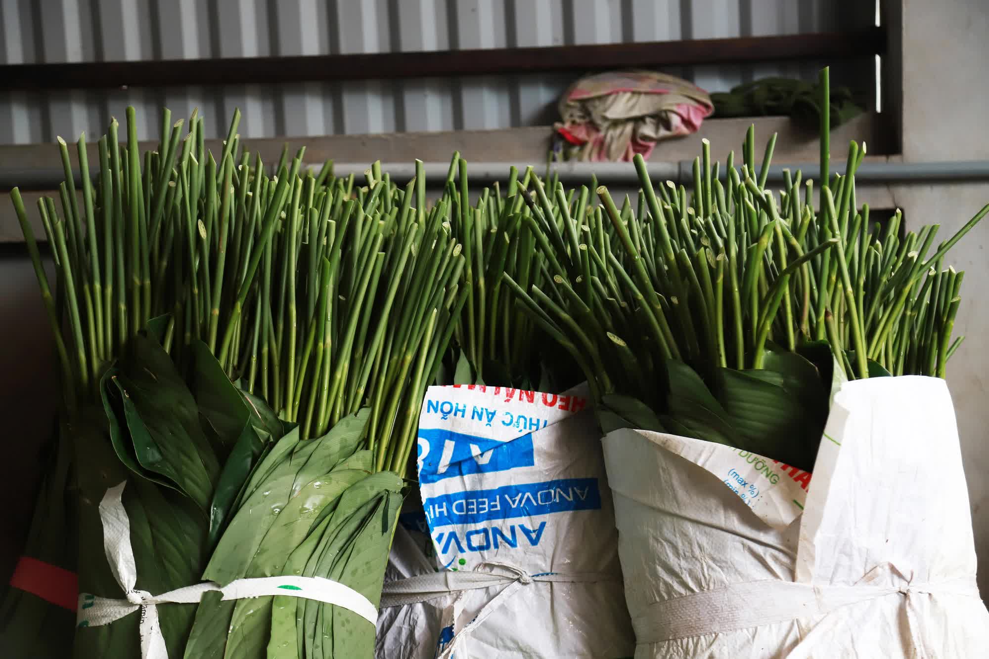 Hà Nội: Người dân bội thu dịp cuối năm nhờ giữ được nghề truyền thống tạo ra thứ cứ đến Tết là cần, xuất khẩu sang cả Mỹ và châu Âu - Ảnh 7.