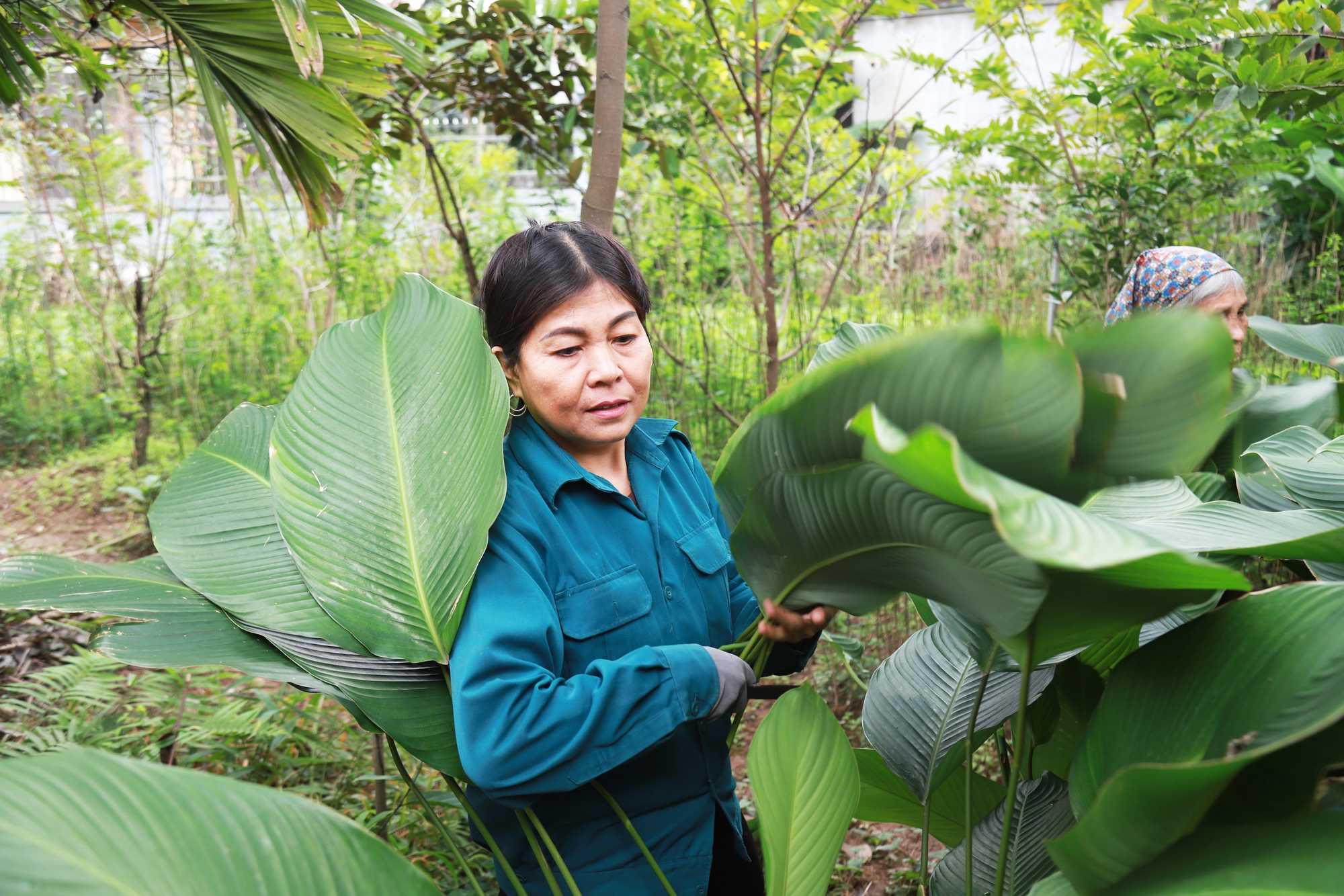 Hà Nội: Người dân bội thu dịp cuối năm nhờ giữ được nghề truyền thống tạo ra thứ cứ đến Tết là cần, xuất khẩu sang cả Mỹ và châu Âu - Ảnh 2.