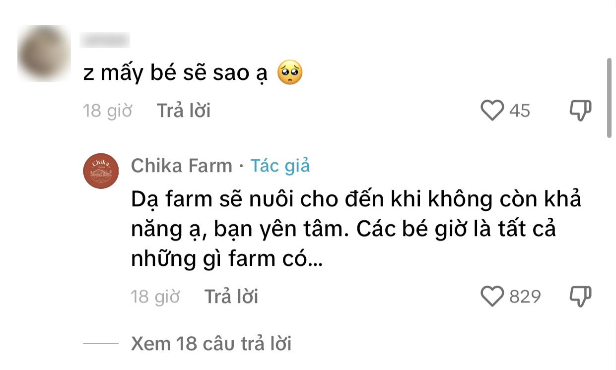 Chika Farm tiết lộ "số phận" vườn thú sau khi đóng cửa, nhiều dân mạng vẫn hi vọng sẽ mở trở lại- Ảnh 2.