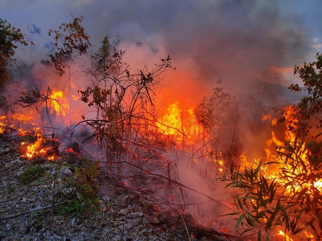 Hiện tượng lạ: Mặt đất tự bốc cháy liên tục ở Đắk Lắk - Ảnh 1.
