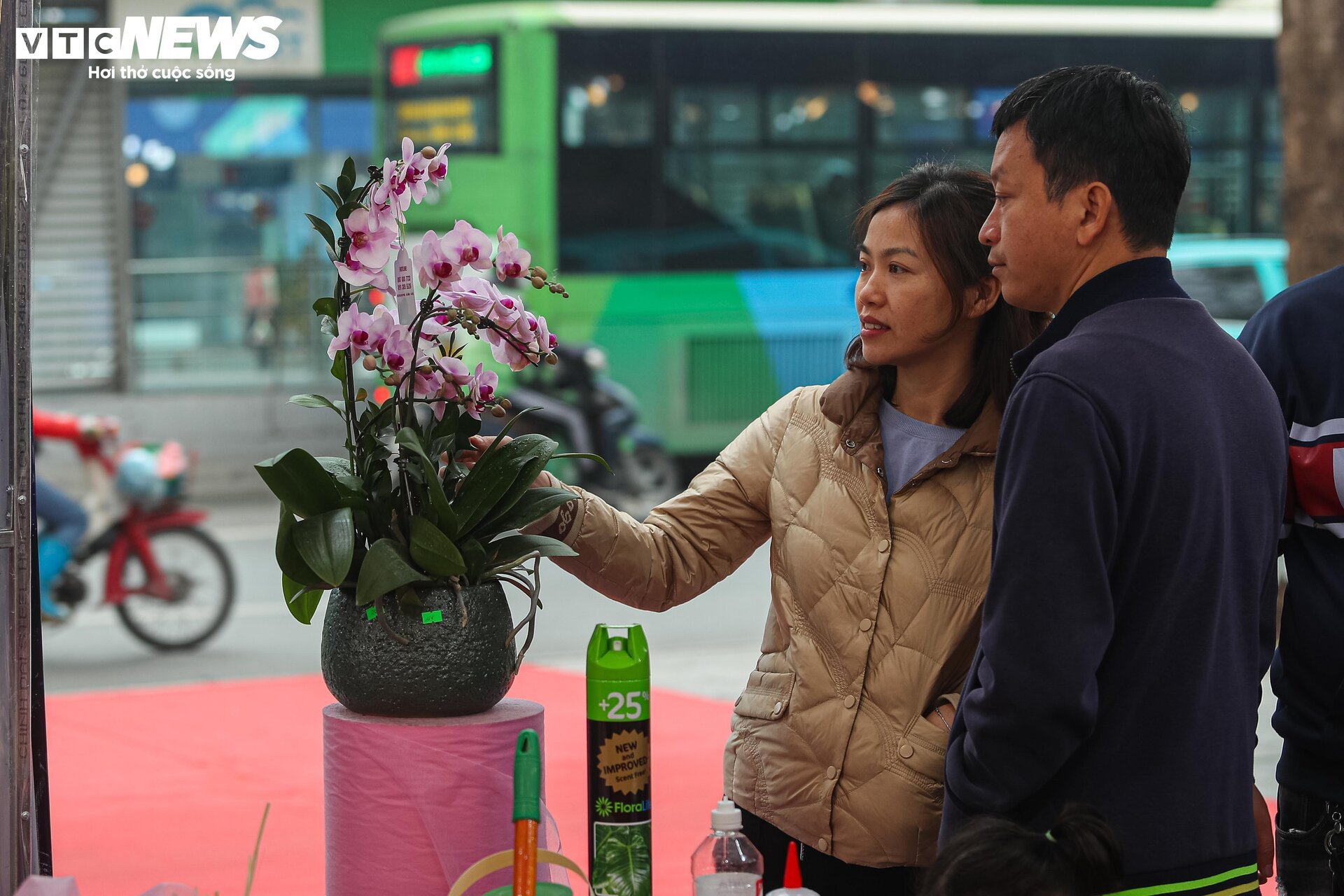 Lan hồ điệp đủ loại khoe sắc, người Hà Nội xuống tiền triệu mua hoa - Ảnh 11.