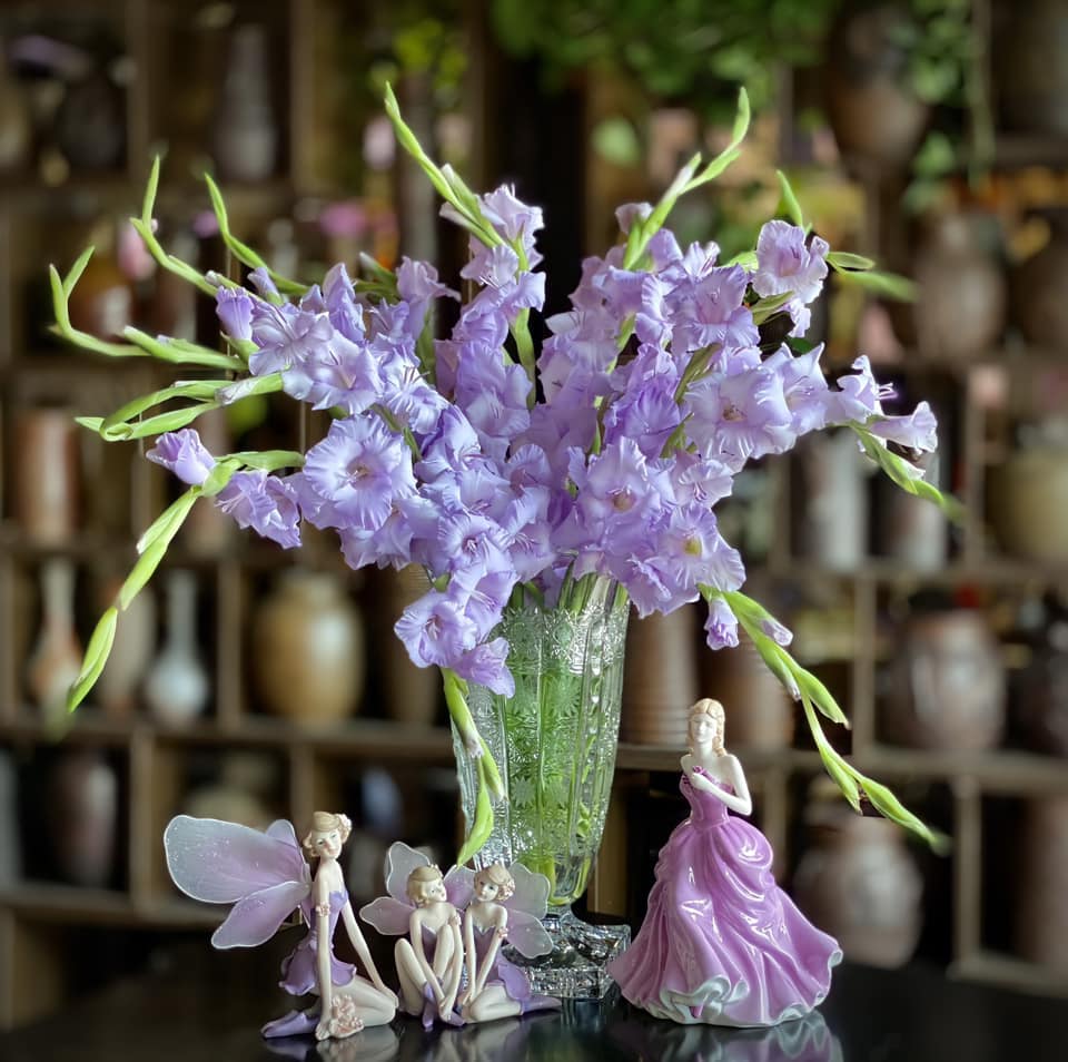 Loài hoa tượng trưng cho may mắn, Tết này cắm một bình trong nhà, đảm bảo cả năm vượng tài, vui vẻ, giá lại rẻ - Ảnh 16.
