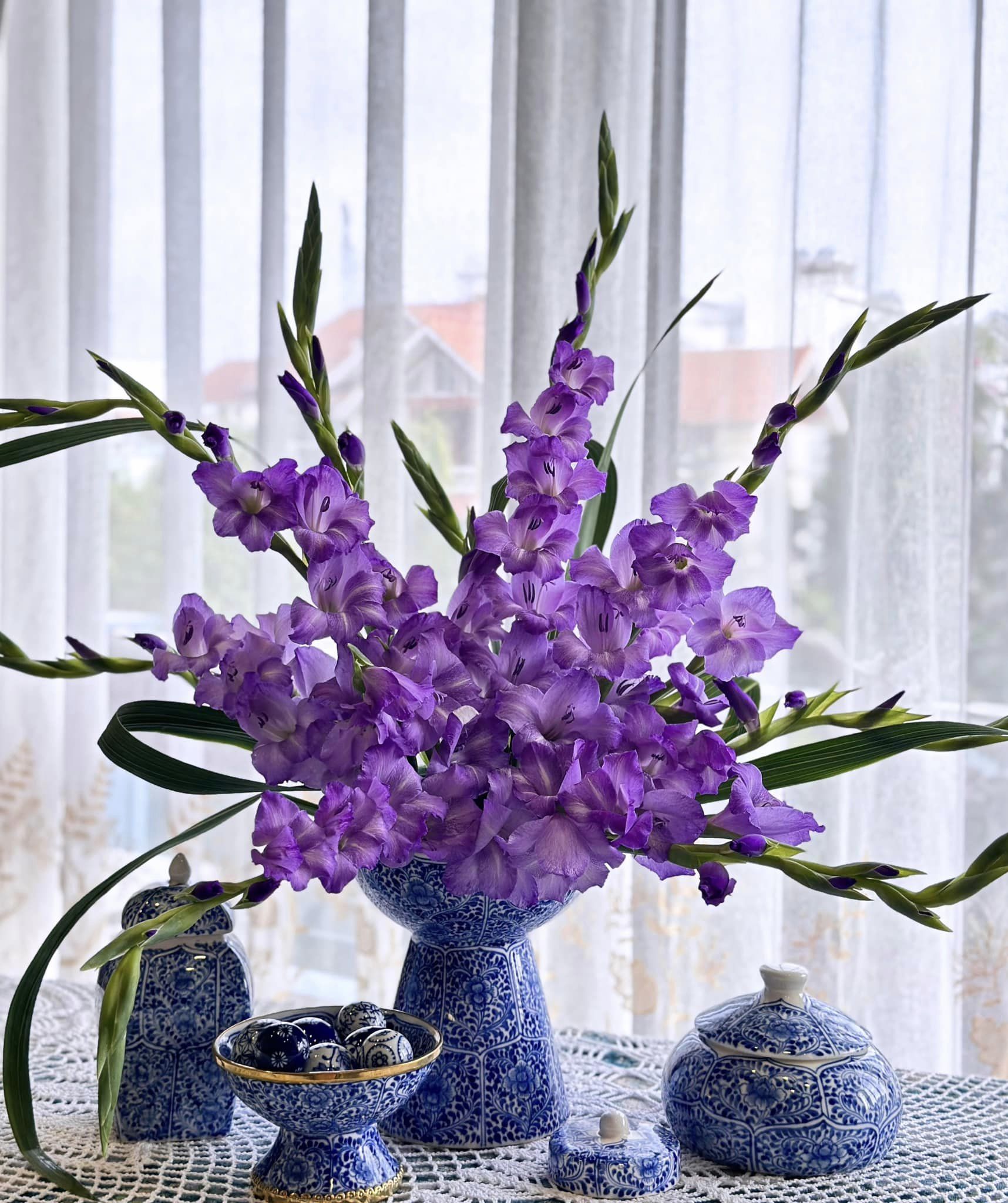 Loài hoa tượng trưng cho may mắn, Tết này cắm một bình trong nhà, đảm bảo cả năm vượng tài, vui vẻ, giá lại rẻ - Ảnh 18.