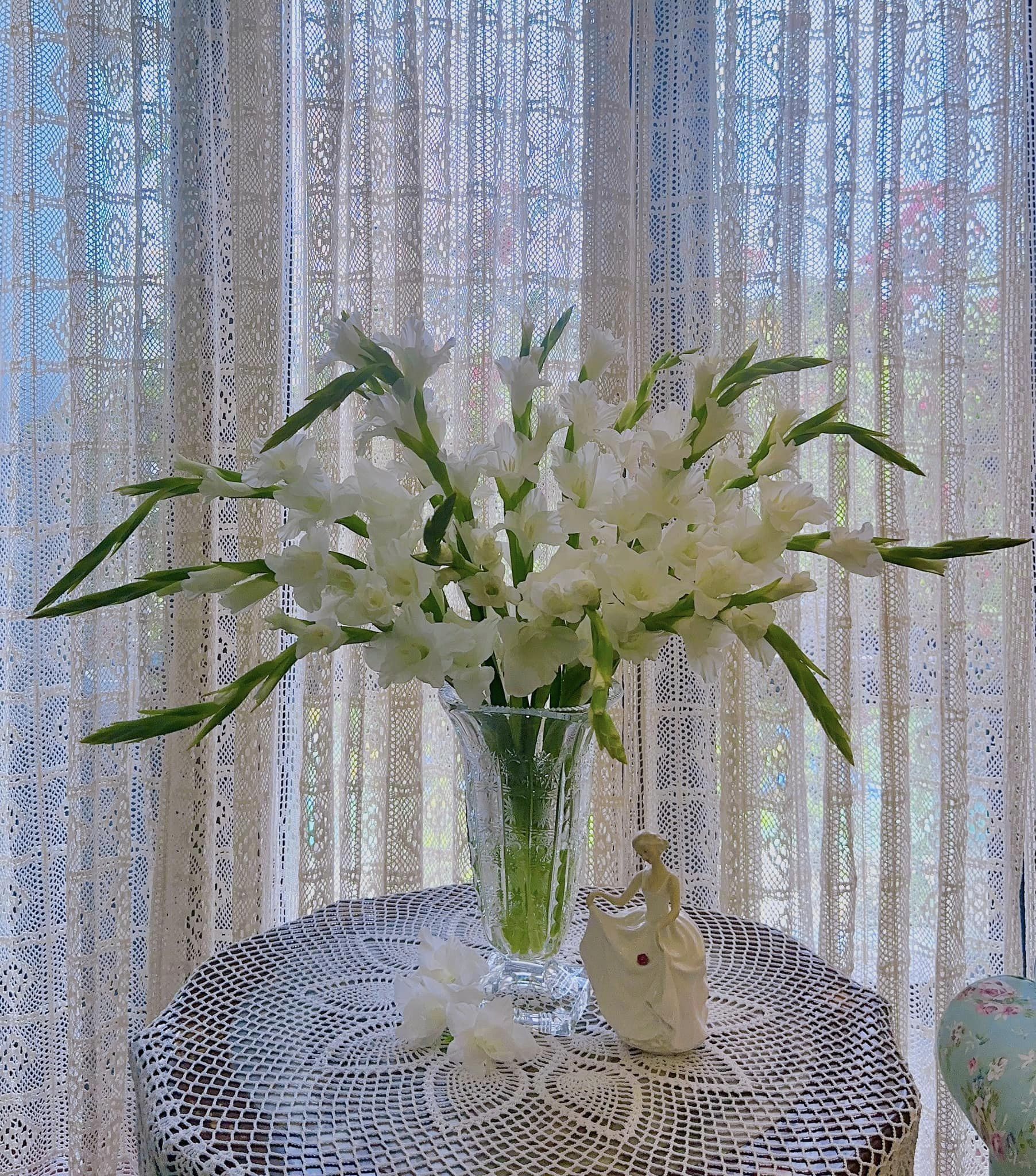 Loài hoa tượng trưng cho may mắn, Tết này cắm một bình trong nhà, đảm bảo cả năm vượng tài, vui vẻ, giá lại rẻ - Ảnh 13.