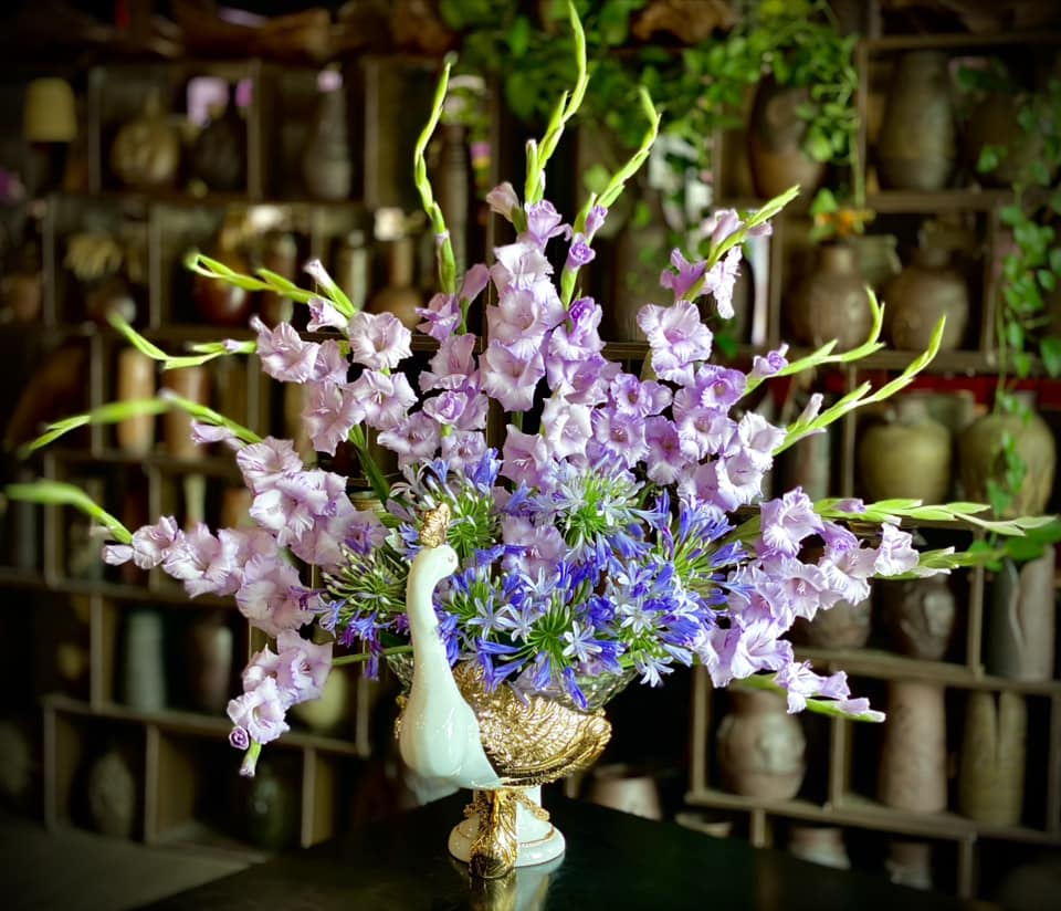 Loài hoa tượng trưng cho may mắn, Tết này cắm một bình trong nhà, đảm bảo cả năm vượng tài, vui vẻ, giá lại rẻ - Ảnh 20.