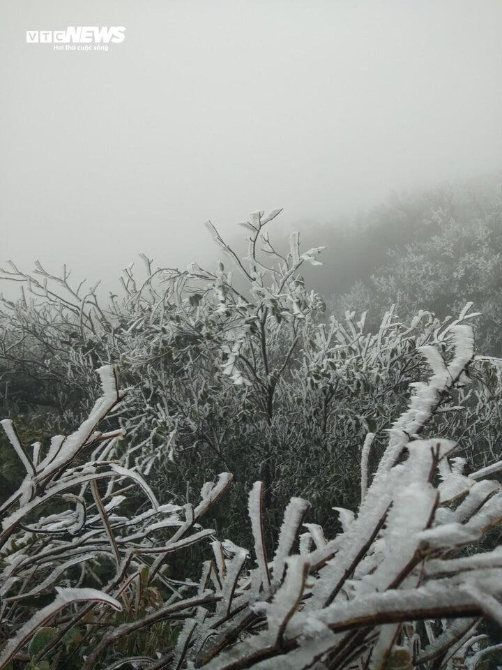 Nhiệt độ xuống -1,1 độ C, băng giá phủ kín đỉnh Mẫu Sơn - Ảnh 6.