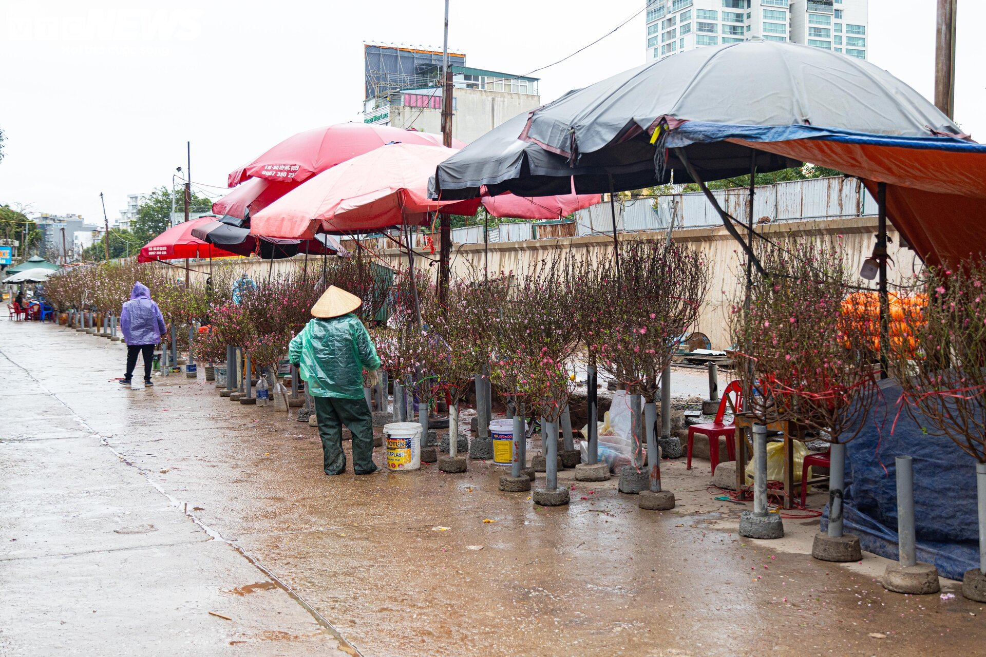 Hà Nội mưa rét đỉnh điểm, người bán 'ôm' cây cảnh Tết, sốt ruột chờ khách mua - Ảnh 6.