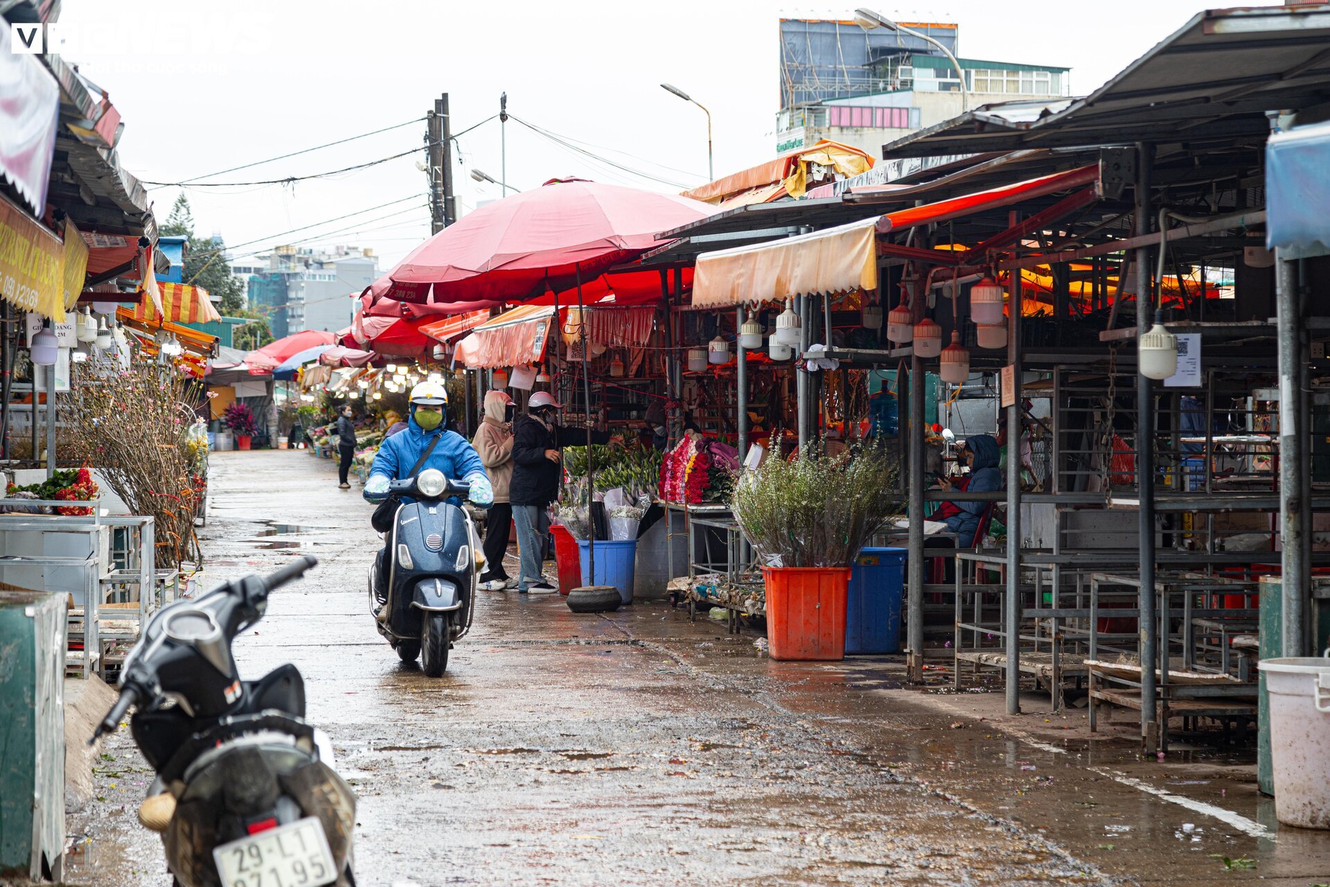 Hà Nội mưa rét đỉnh điểm, người bán 'ôm' cây cảnh Tết, sốt ruột chờ khách mua - Ảnh 11.