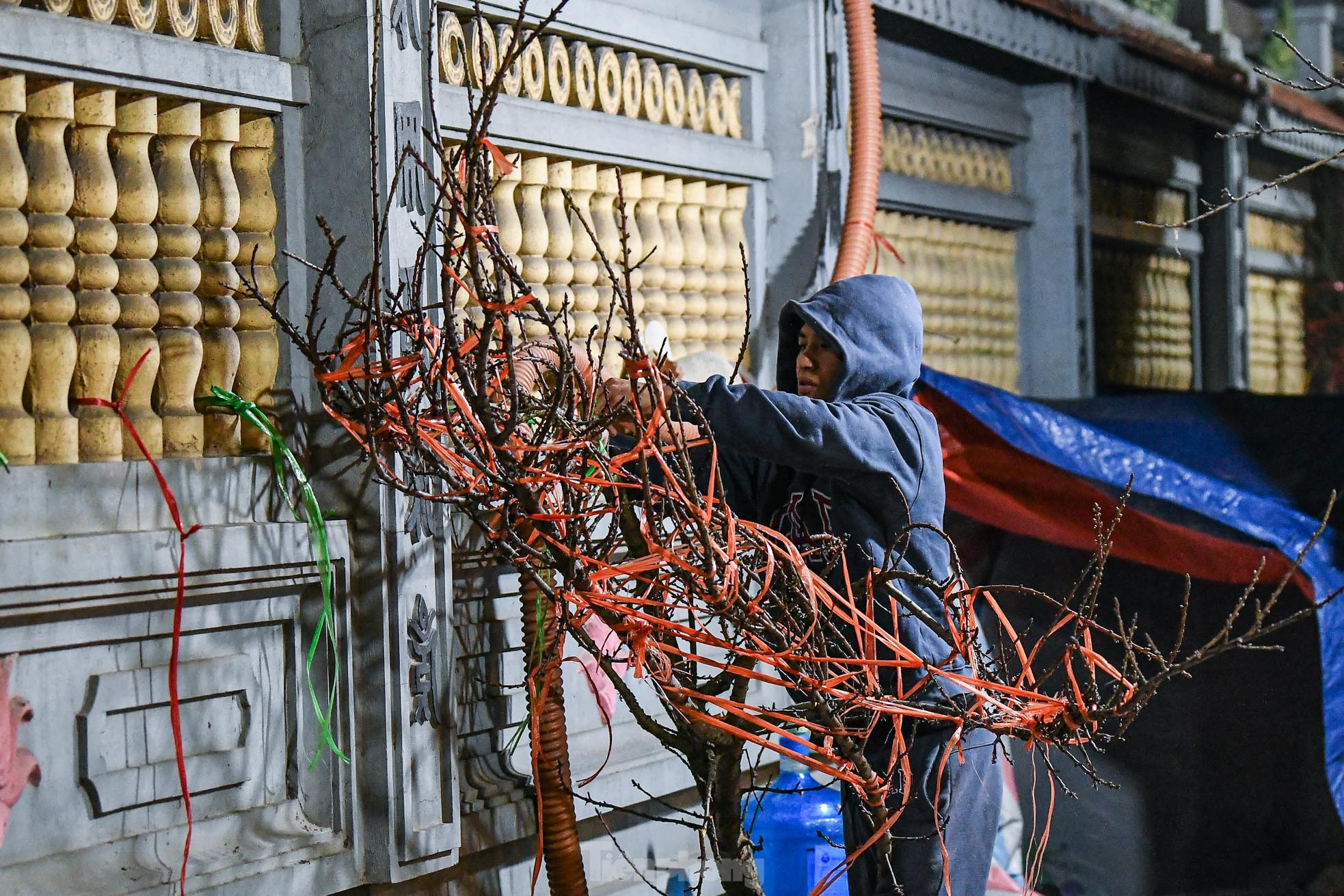 Hà Nội dưới 8 độ C, tiểu thương dựng lều, đốt lửa xuyên đêm trông đào quất trong giá lạnh - Ảnh 10.