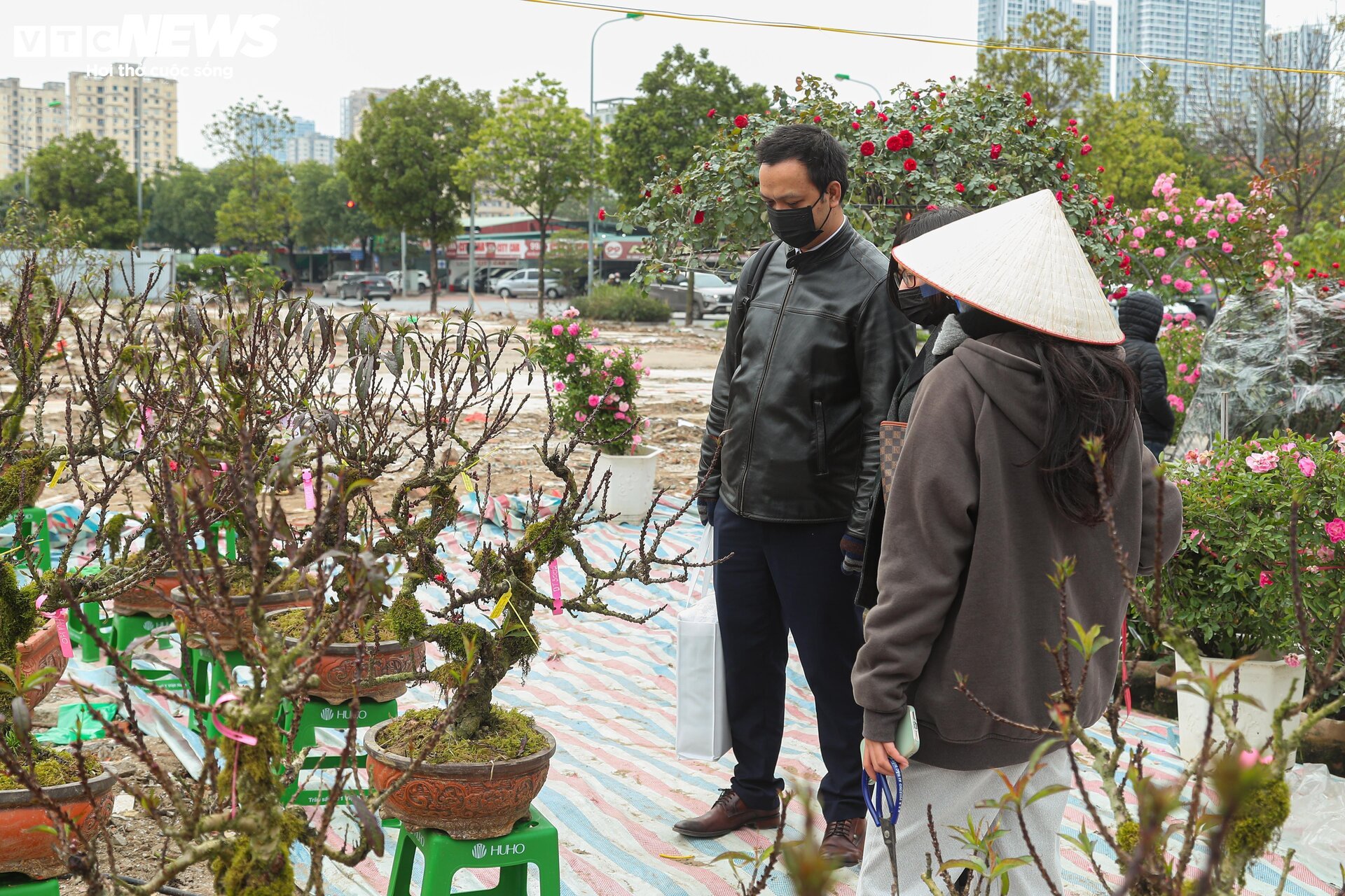 Nhất chi mai khoe sắc tinh khôi, giá chục triệu đồng vẫn hút khách - Ảnh 9. Nhất chi mai khoe sắc tinh khôi, giá chục triệu đồng vẫn hút khách - Ảnh 9.