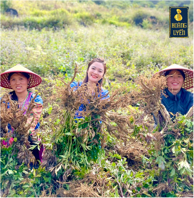 Hoàng Uyển - Từ nguyên liệu thiên nhiên bản địa đến sản phẩm chăm sóc sức khoẻ, sắc đẹp - Ảnh 2.