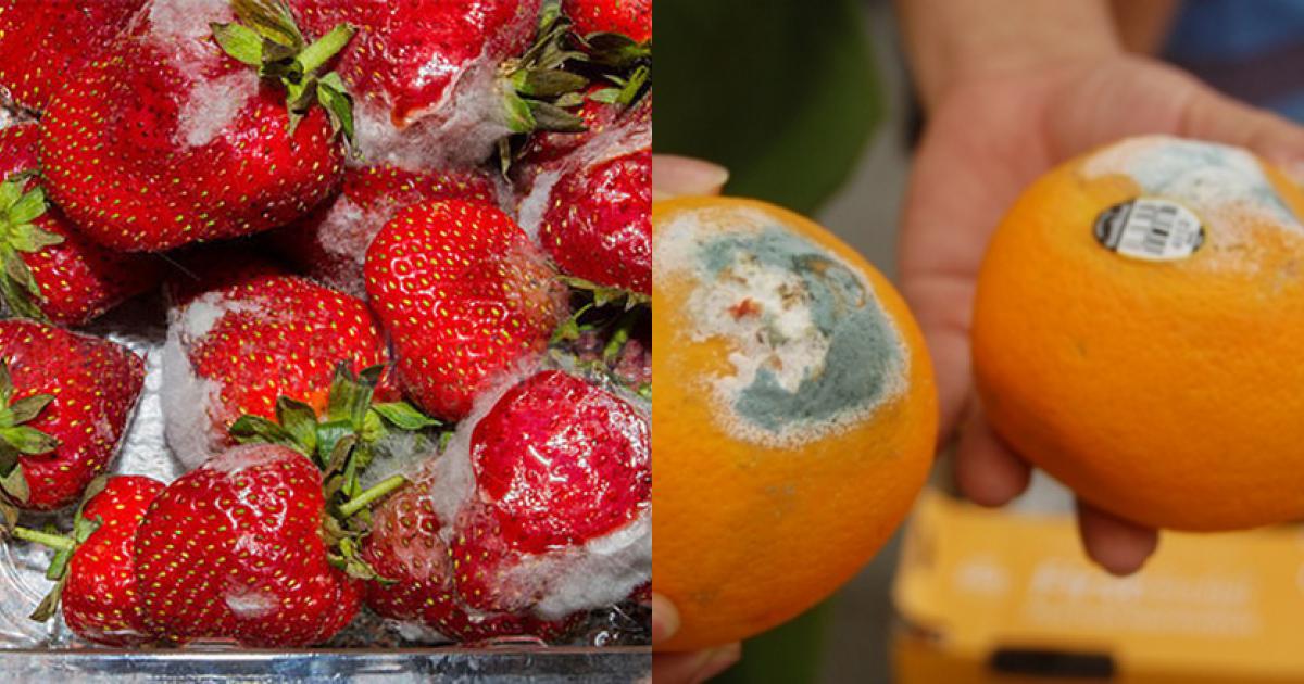 3 loại “trái cây” không nên ăn vì dễ đánh thức tế bào ung thư, dù thích ăn bao nhiêu cũng nên hạn chế - Ảnh 2.