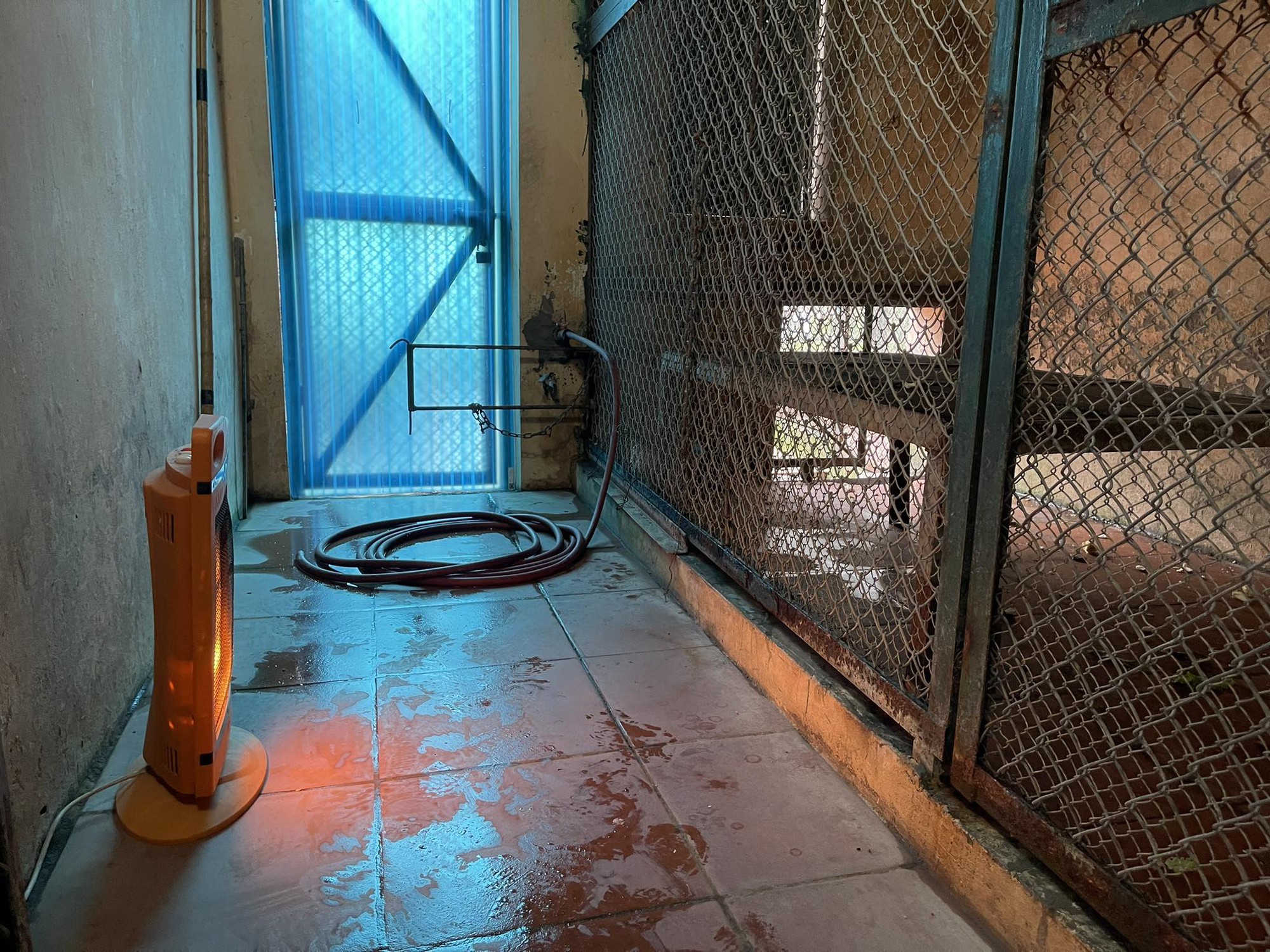 Sự thật về hình ảnh đàn khỉ gầy trơ xương, co ro vì lạnh ở vườn thú Hà Nội- Ảnh 3. Sự thật về hình ảnh đàn khỉ gầy trơ xương, co ro vì lạnh ở vườn thú Hà Nội- Ảnh 3.
