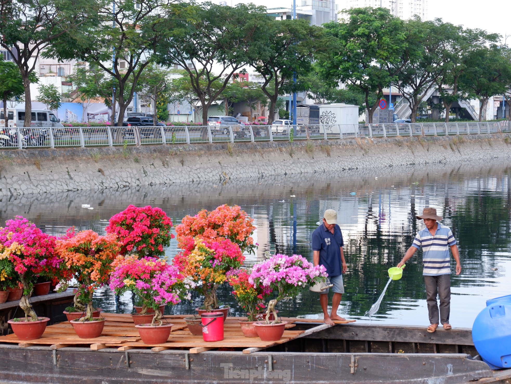 Thuyền hoa, cây cảnh cập bến Bình Đông phục vụ người dân TPHCM chơi Tết - Ảnh 3.