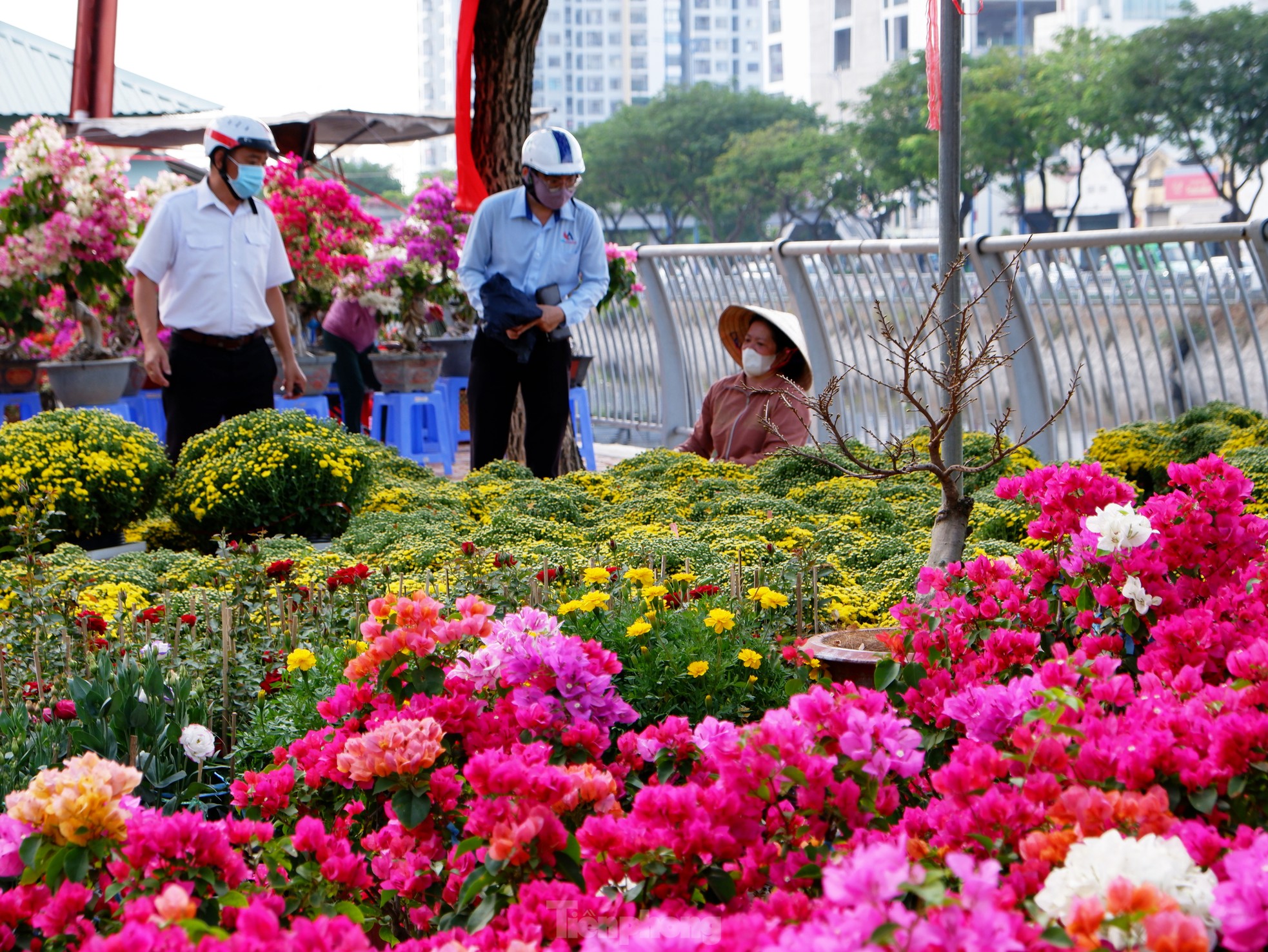 Thuyền hoa, cây cảnh cập bến Bình Đông phục vụ người dân TPHCM chơi Tết - Ảnh 4.