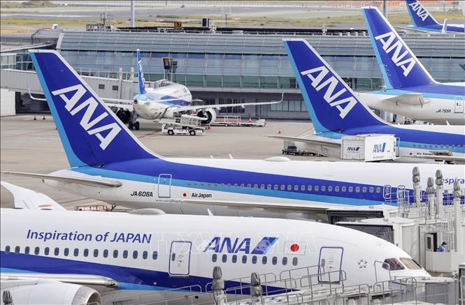 Thêm 200 chuyến bay nội địa bị hủy do vụ va chạm máy bay ở sân bay Haneda - Ảnh 1.