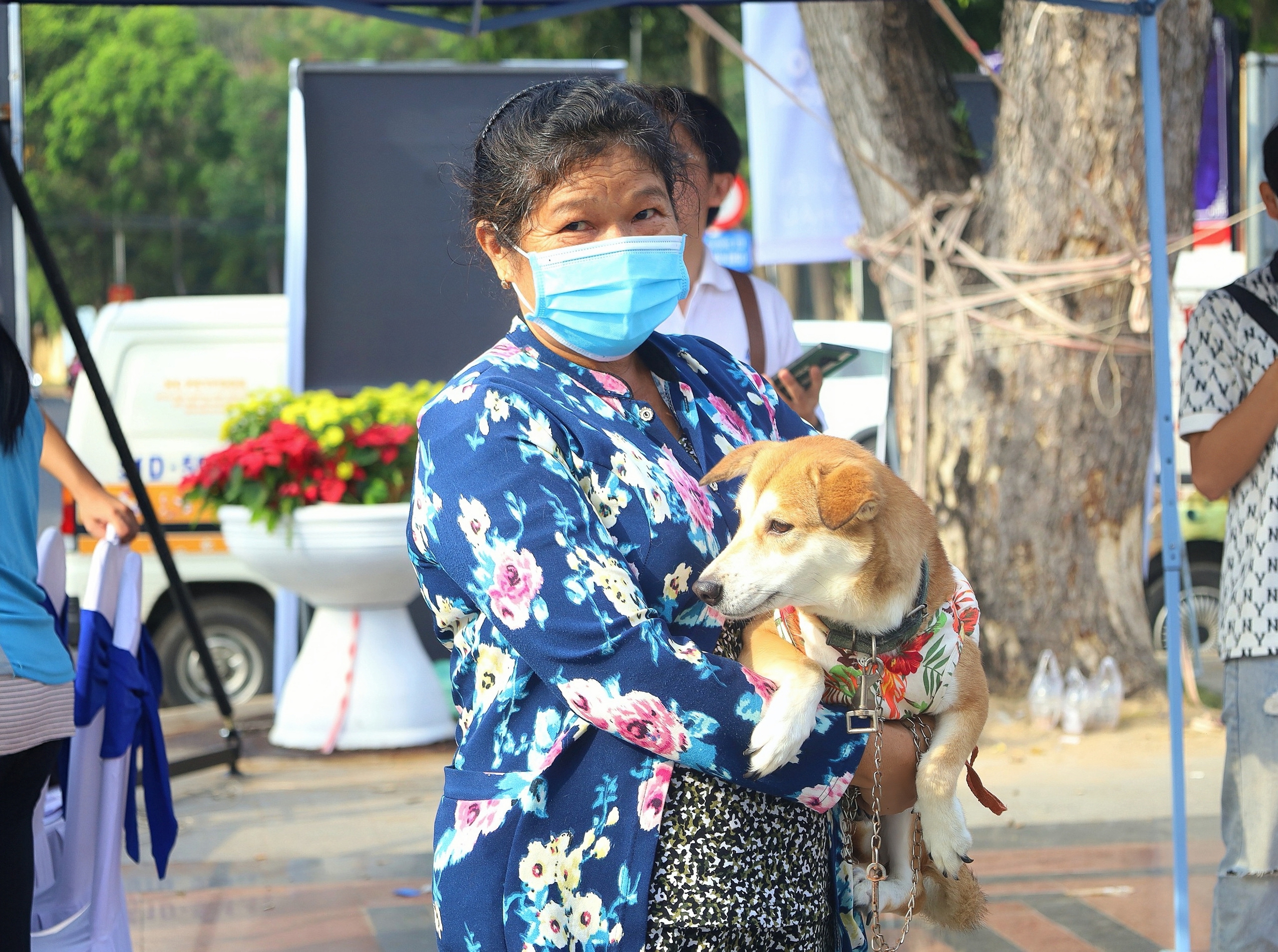 Loạt cảnh siêu cưng của &quot;các boss&quot; tại Festival thú cưng miền Tây - Ảnh 5.