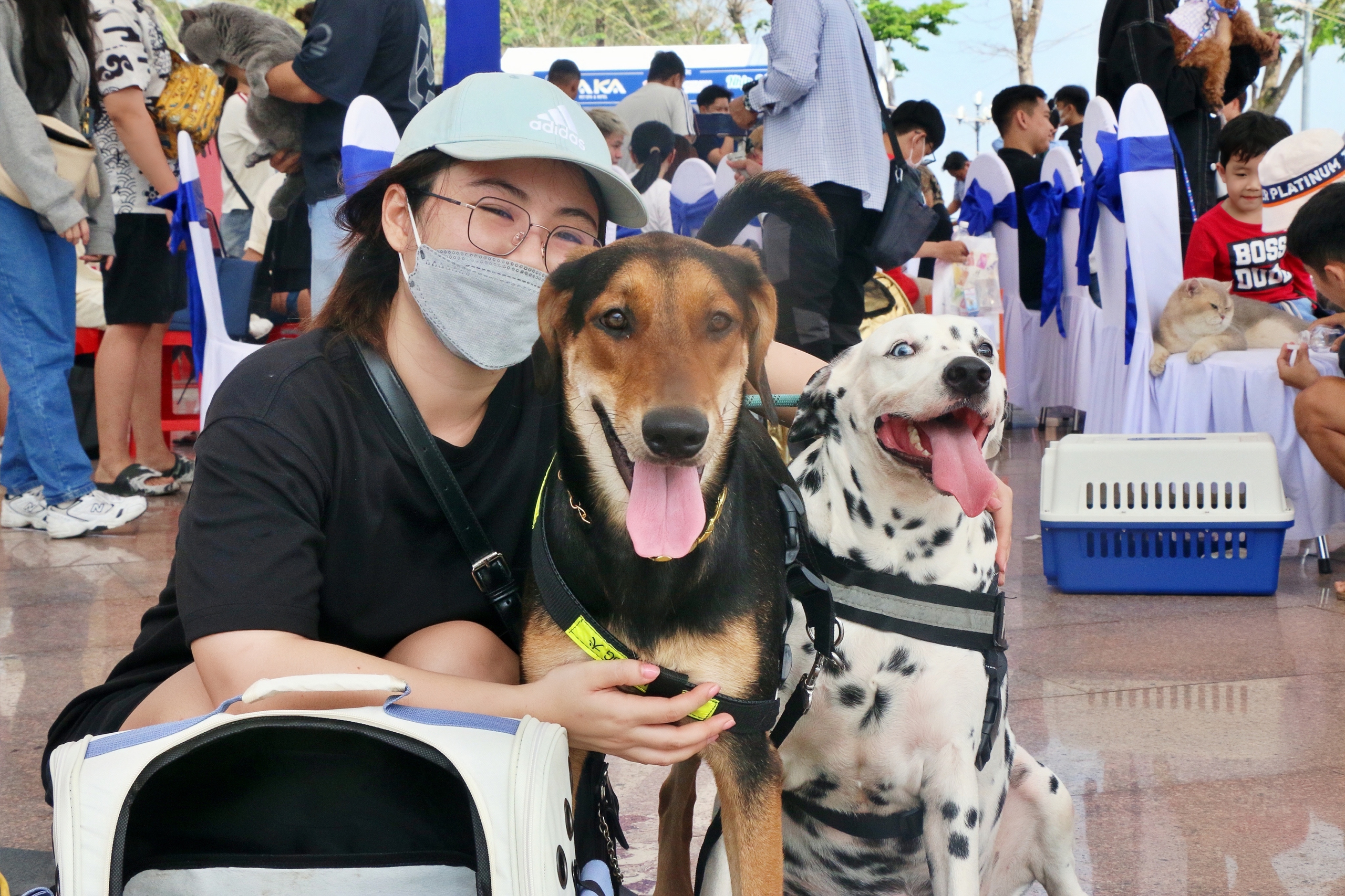 Loạt cảnh siêu cưng của &quot;các boss&quot; tại Festival thú cưng miền Tây - Ảnh 11.