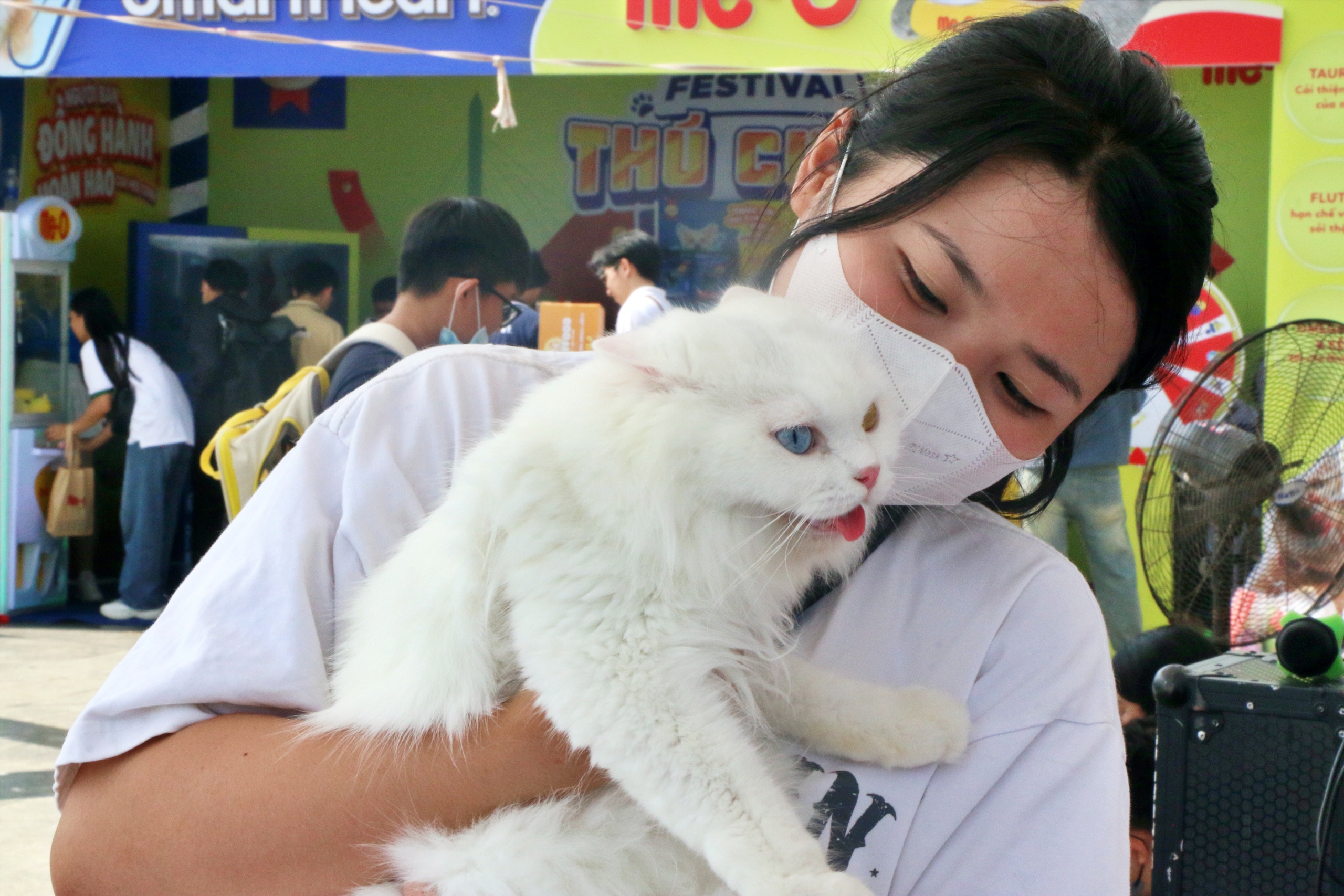 Loạt cảnh siêu cưng của &quot;các boss&quot; tại Festival thú cưng miền Tây - Ảnh 10.