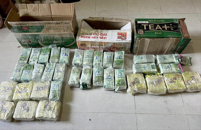 Phá đường dây vận chuyển hơn 290kg ma túy từ Lào về Việt Nam - Ảnh 1.