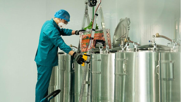 Nâng tầm trải nghiệm ẩm thực truyền thống Việt Nam với Hoa Lan Foods - Ảnh 2. Nâng tầm trải nghiệm ẩm thực truyền thống Việt Nam với Hoa Lan Foods - Ảnh 2.