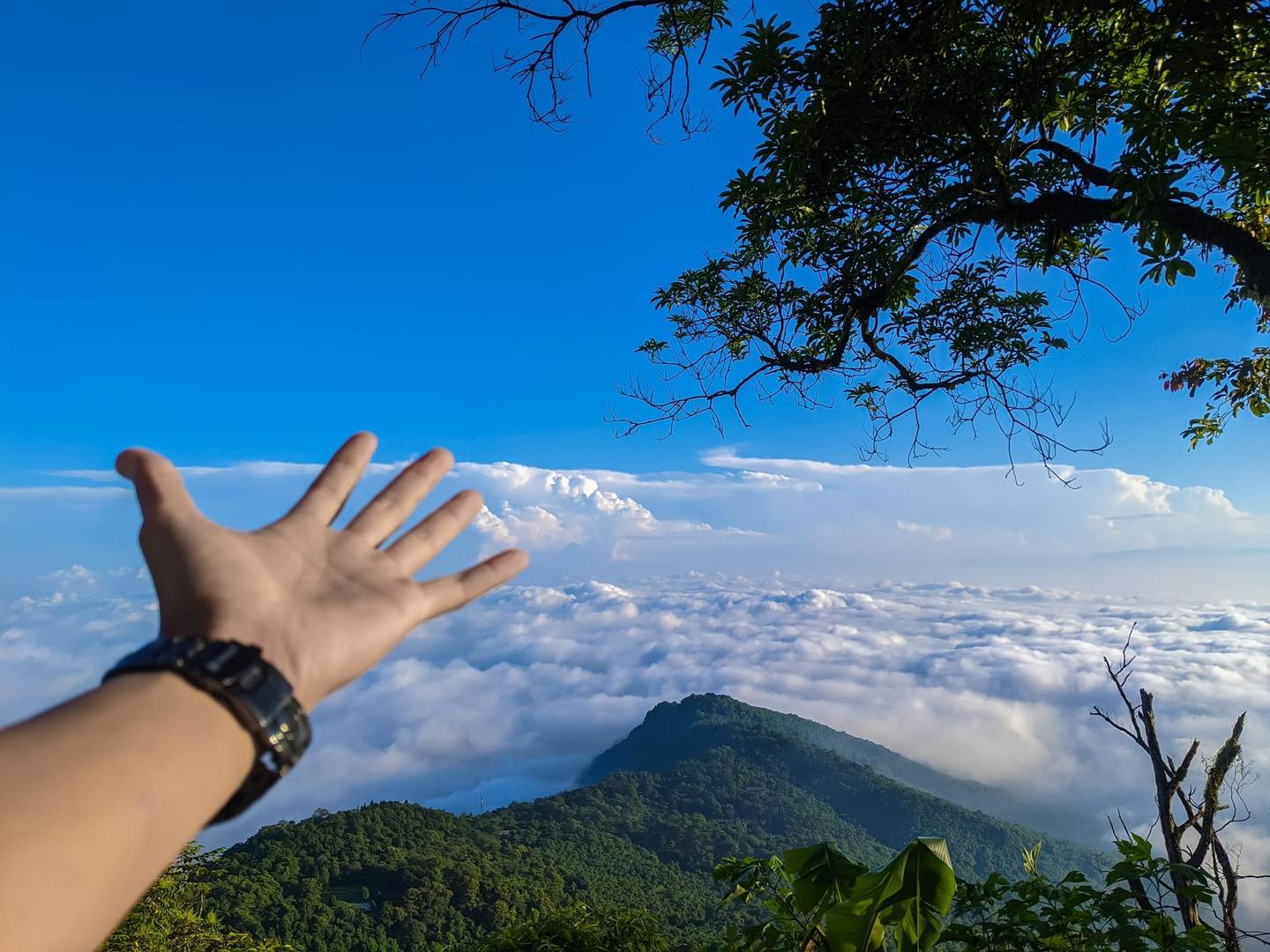 Nơi được ví như &quot;Đà Lạt thu nhỏ&quot; nhờ mùa hoa vàng rực rỡ, thì ra ngay gần Hà Nội, đường đi chỉ hơn 50km - Ảnh 11.