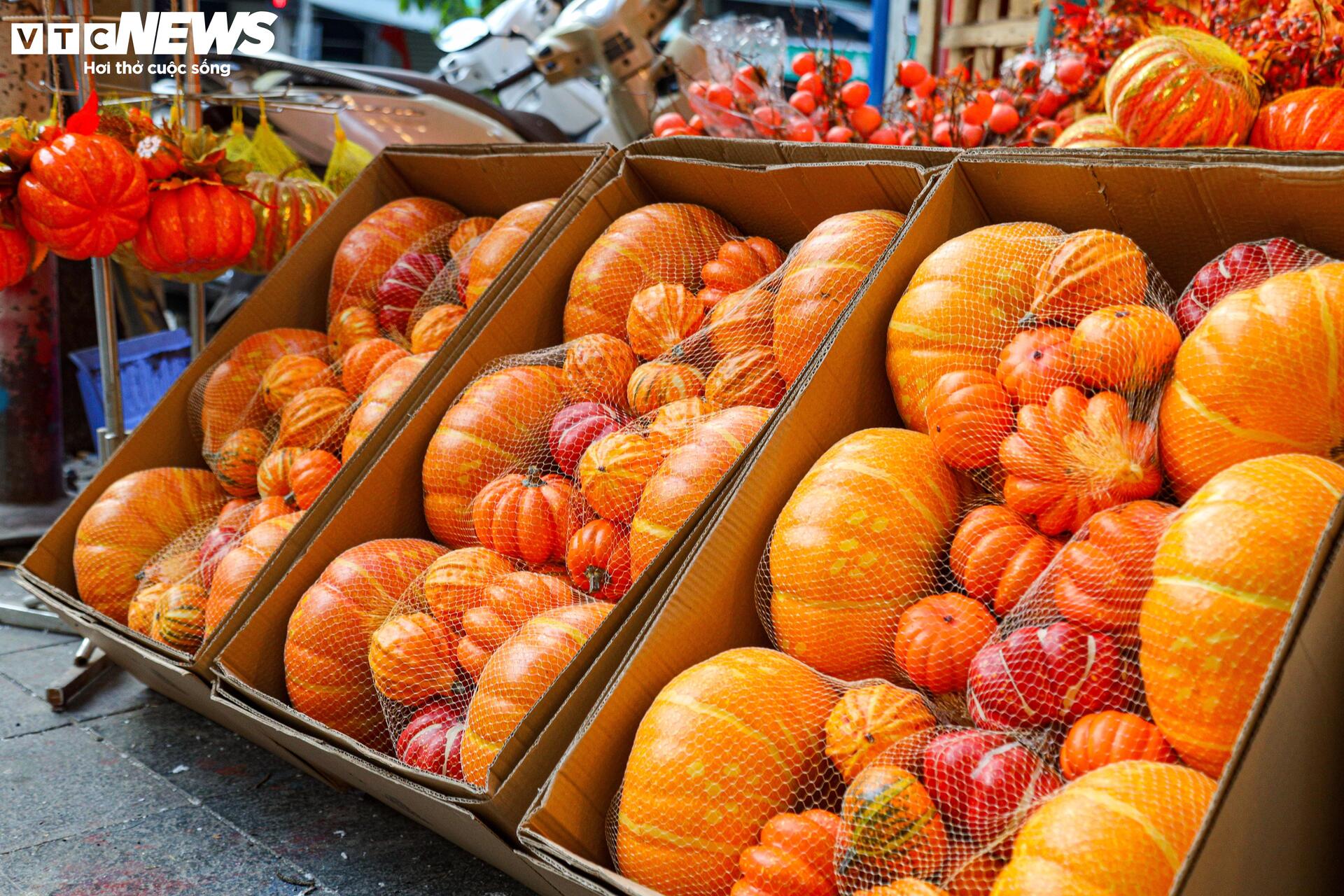 Đồ chơi Halloween ngập tràn, phố cổ Hà Nội trở nên ma mị - Ảnh 11.