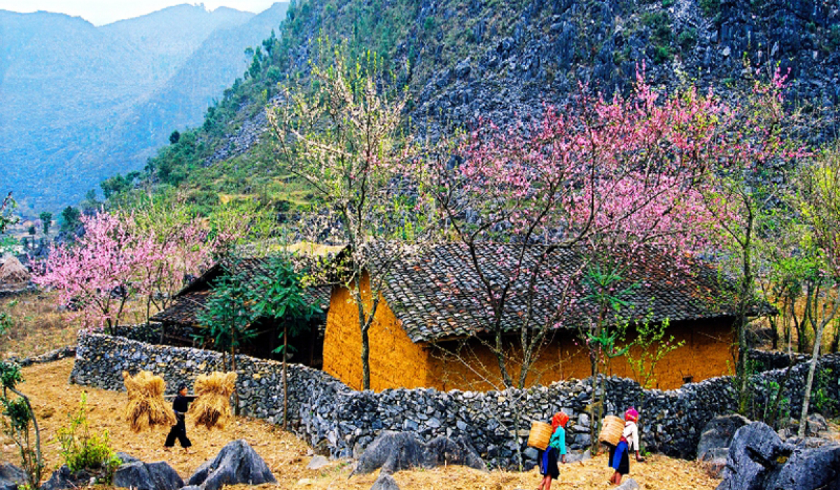 Khách Tây thích thú dùng bữa trưa cùng đồng bào dân tộc ở Hà Giang, cảm thán &quot;phải ăn ít nhất 2 bát cơm&quot; - Ảnh 9.