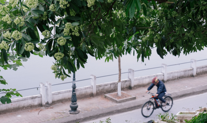 Chưa đủ ám ảnh mùi hoa sữa, nhiều nơi thẳng tay cho vào đồ ăn, nước uống khiến dân tình nhìn thôi đã muốn &quot;nín thở online&quot; - Ảnh 1.