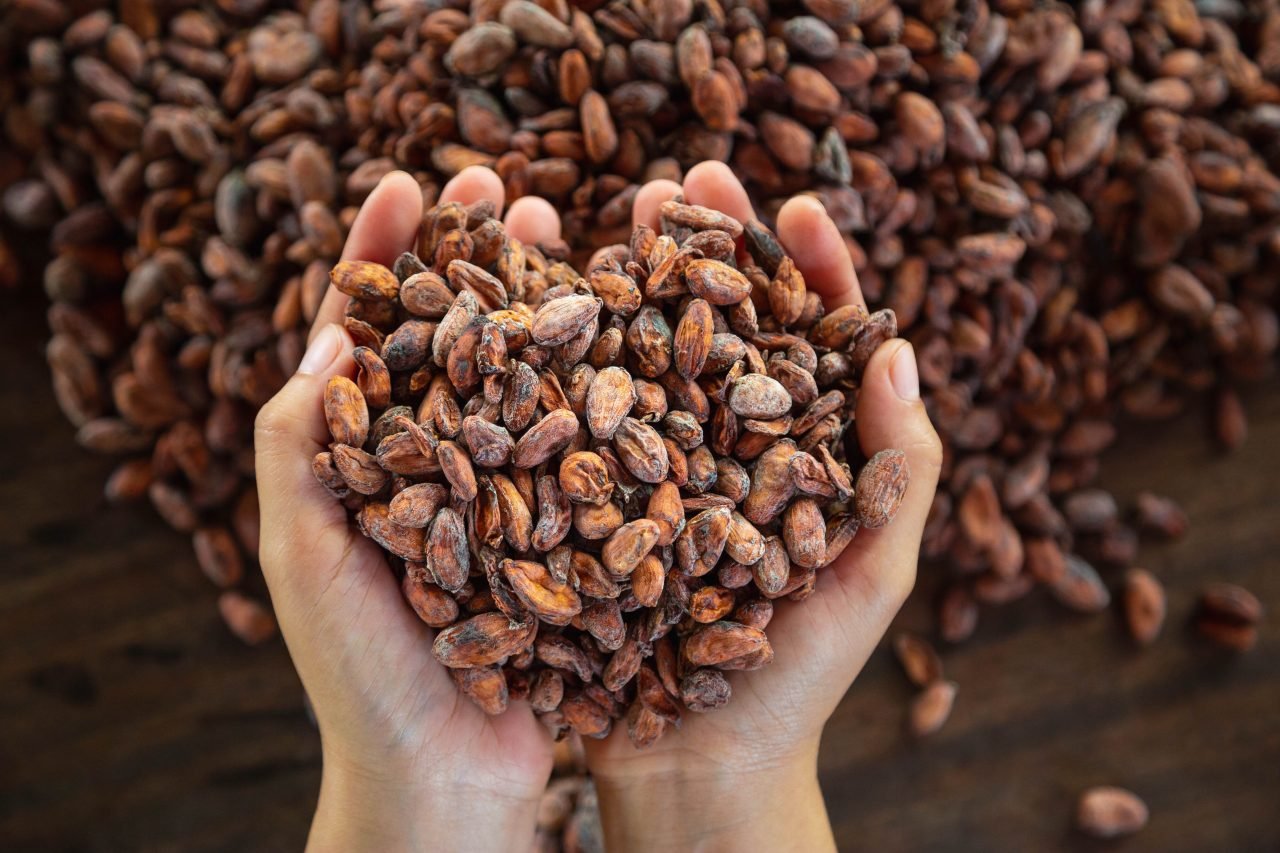 worker-holding-handful-cocoa-beans-1280x853-1729064013489-1729064013567417189056.jpg