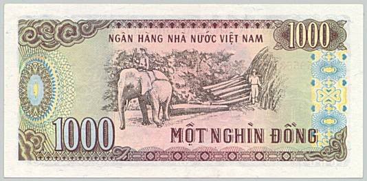 Hình ảnh in trên mặt sau tờ tiền Việt Nam không phải ai cũng biết - Ảnh 3.