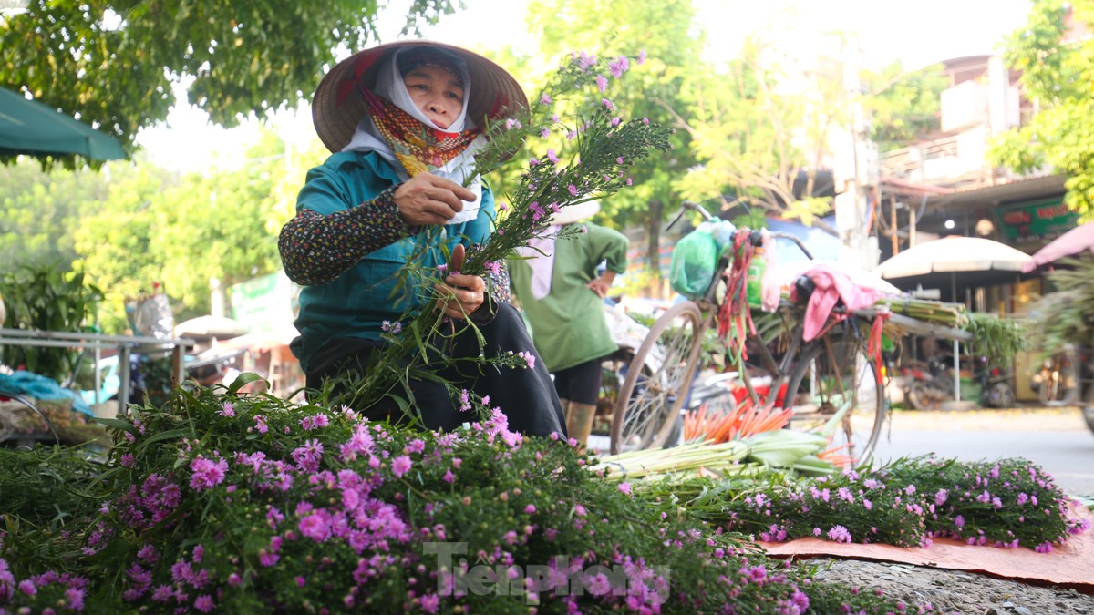 Nông dân làng hoa Mê Linh mất mùa 20/10, &quot;mót&quot; từng bông hồng để bán - Ảnh 14.