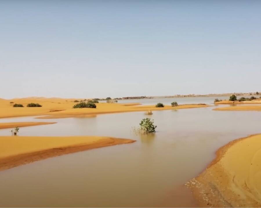 Lượng mưa lịch sử gây lũ lụt tại sa mạc Sahara: Hiện tượng vô cùng hiếm gặp này liệu có phải 'dấu hiệu' của thảm họa?- Ảnh 5.