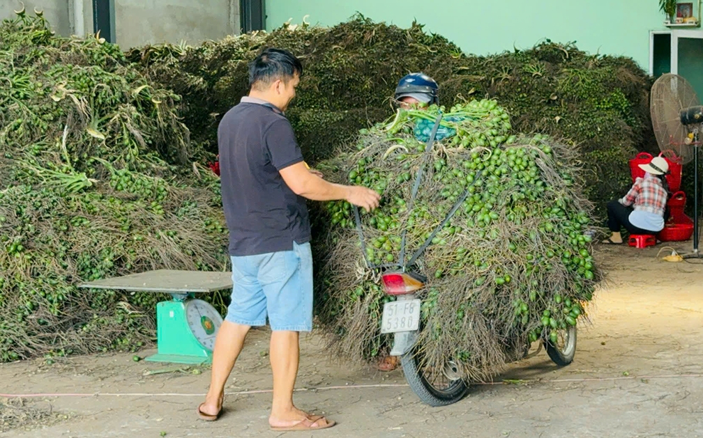 V&igrave; sao gi&aacute; cau tươi đột ngột "tuột dốc kh&ocirc;ng phanh"?- Ảnh 3.