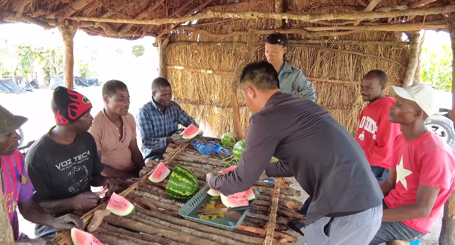 Ruộng dưa hấu ở Angola đến ngày thu hoạch, ông chủ người Việt hái làm quà tặng, phát hiện điều bất ngờ - Ảnh 8.