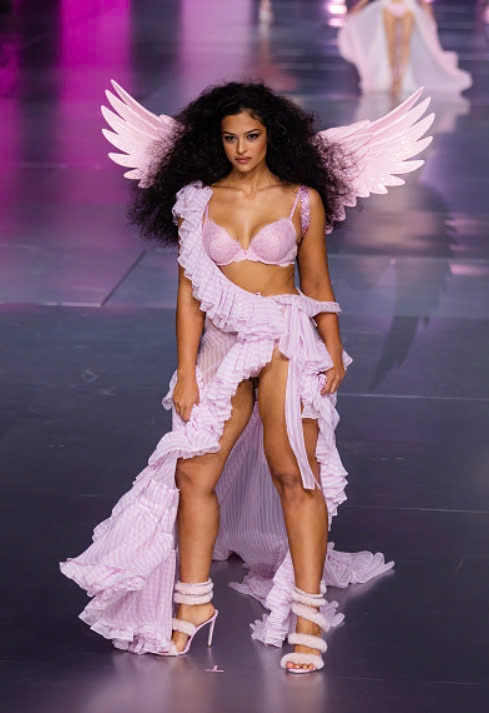 Những trang phục ấn tượng nhất mùa Victoria's Secret 2024 - Ảnh 22.