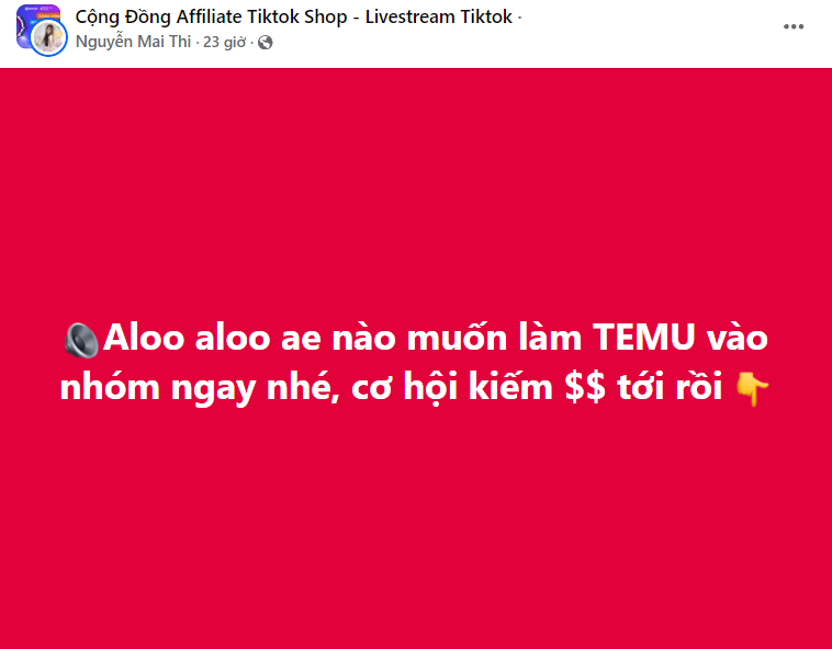 Temu chi hoa hồng 30% hút người Việt tham gia tiếp thị liên kết, chuyên gia nói không &quot;dễ ăn&quot;- Ảnh 1.