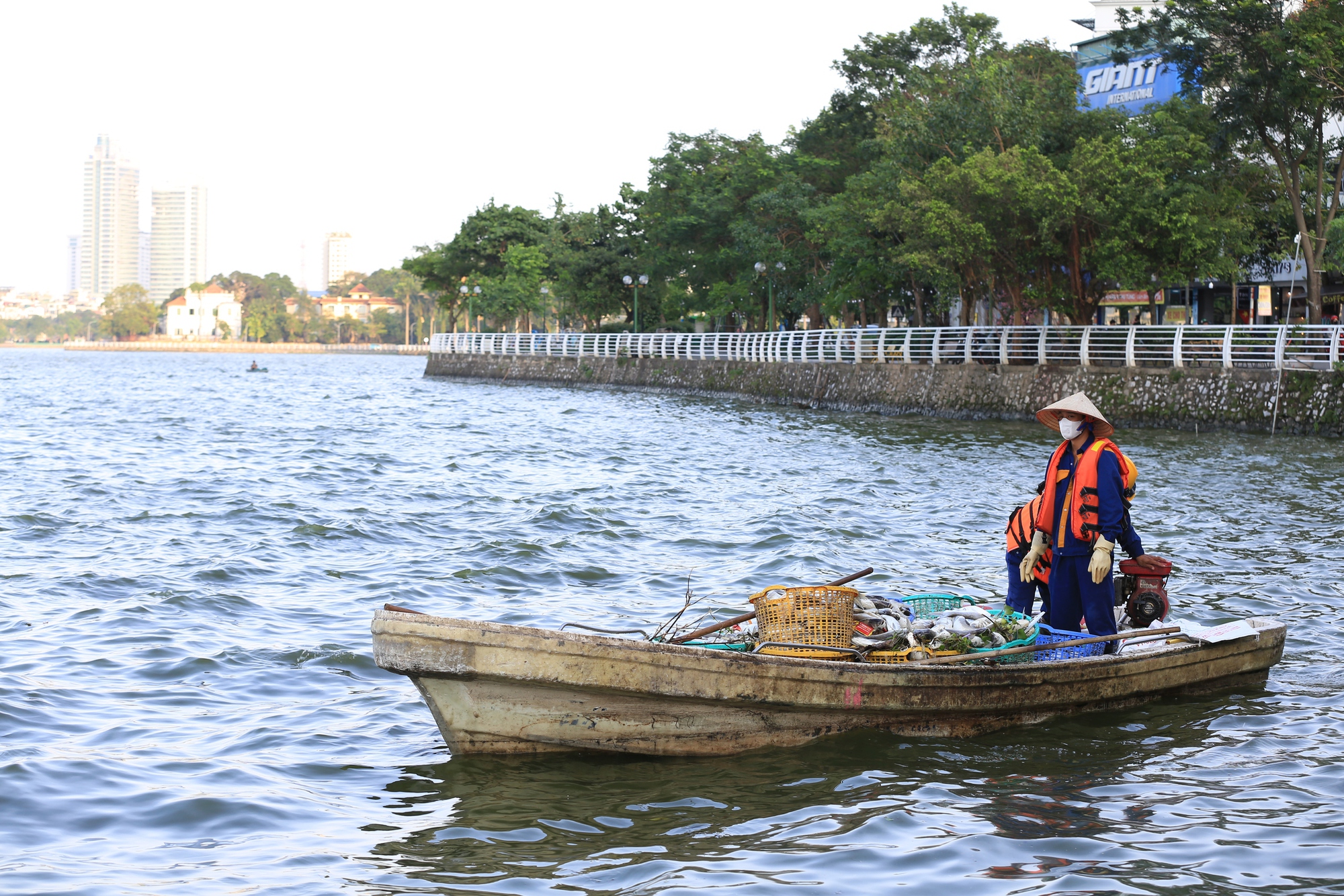 Hà Nội: Cá chết hàng loạt ở Hồ Tây, bốc mùi hôi thối- Ảnh 12.