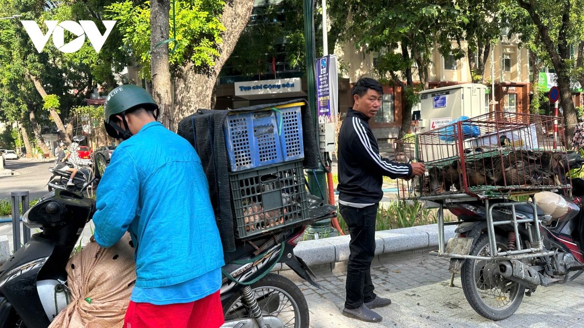 Vườn hoa hồ Thiền Quang: Công trình gần trăm tỷ biến thành nơi họp chợ đồ cũ - Ảnh 3.