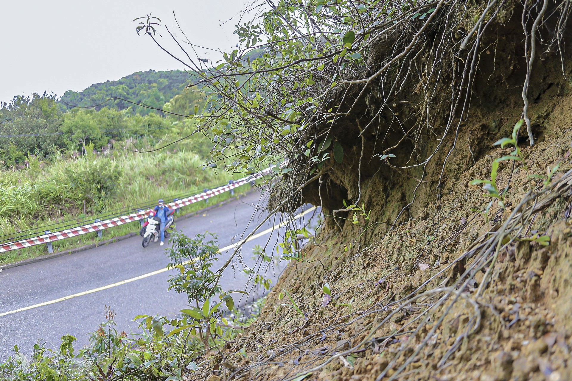 Xuất hiện nhiều điểm nguy cơ sạt lở cao trên núi Sơn Trà - Ảnh 5.