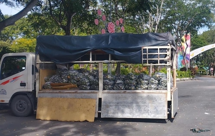Cam sành rớt giá thảm chỉ còn 2.000 đồng/kg, nông dân gánh lỗ trăm triệu đồng - Ảnh 2. Cam sành rớt giá thảm chỉ còn 2.000 đồng/kg, nông dân gánh lỗ trăm triệu đồng - Ảnh 2.