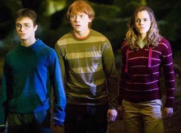 Xem lại Harry Potter sau gần 20 năm: Hóa ra trang phục của các nhân vật cũng cài cắm nhiều ẩn ý, trước đây chưa từng nhận ra - Ảnh 2.