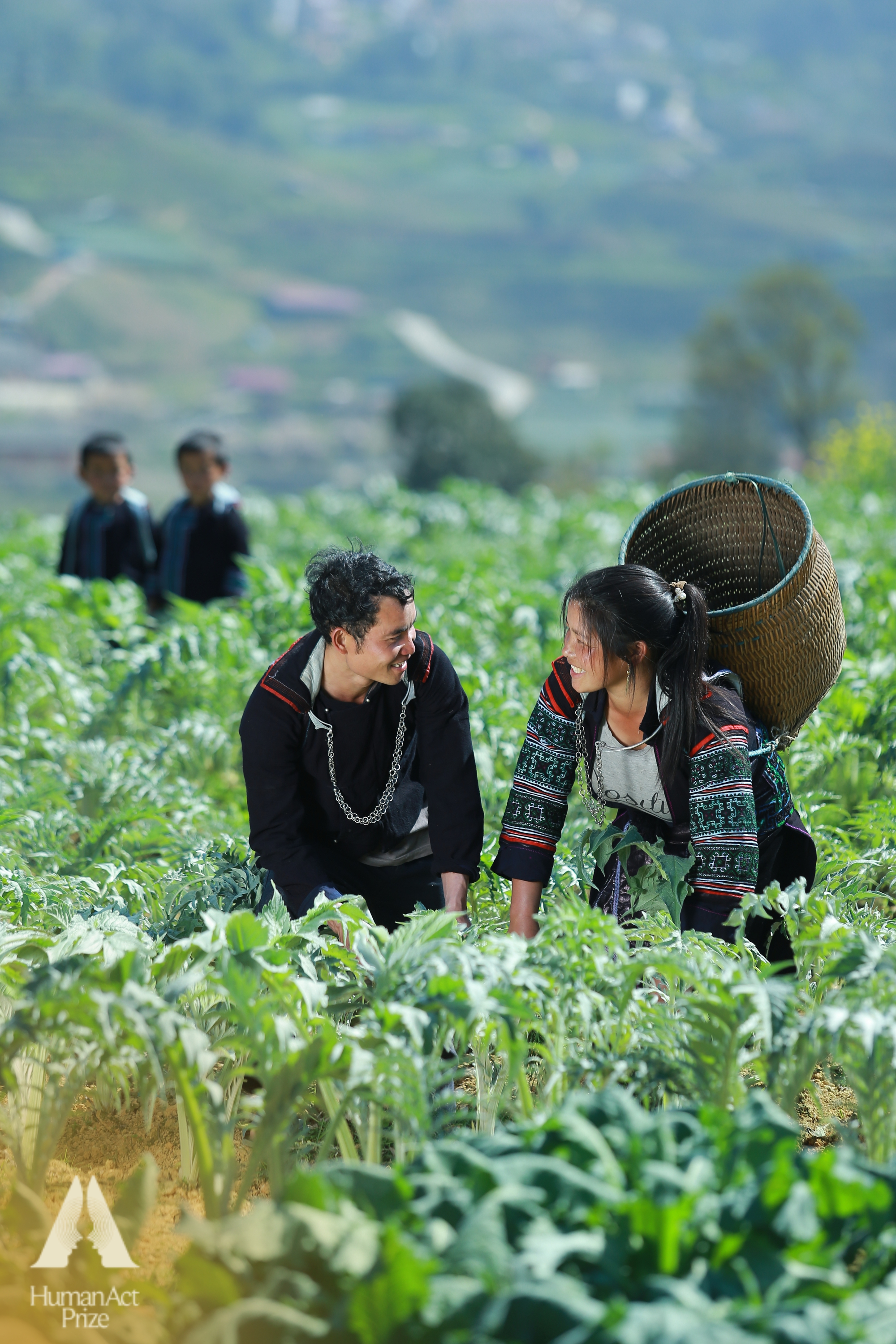 Giúp người dân khai thác “kho báu cỏ cây”, một DN chinh phục thành công thị trường 7 tỷ USD ở Việt Nam - Ảnh 3.