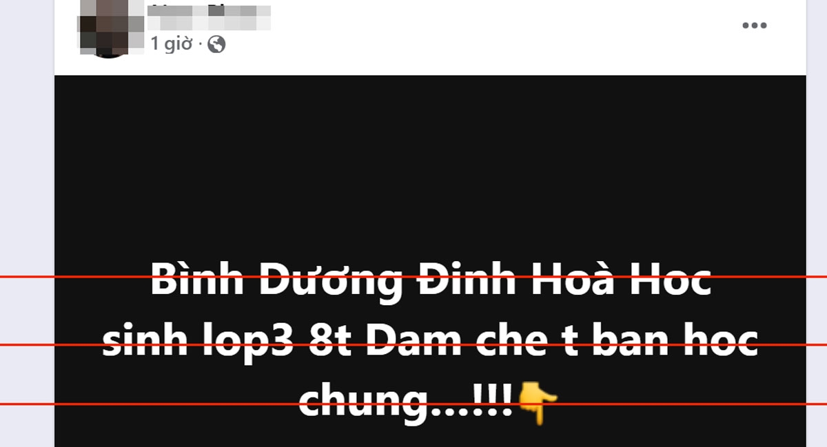 Thông tin học sinh lớp 3 ở Bình Dương đâm chết bạn học là tin giả - Ảnh 1.