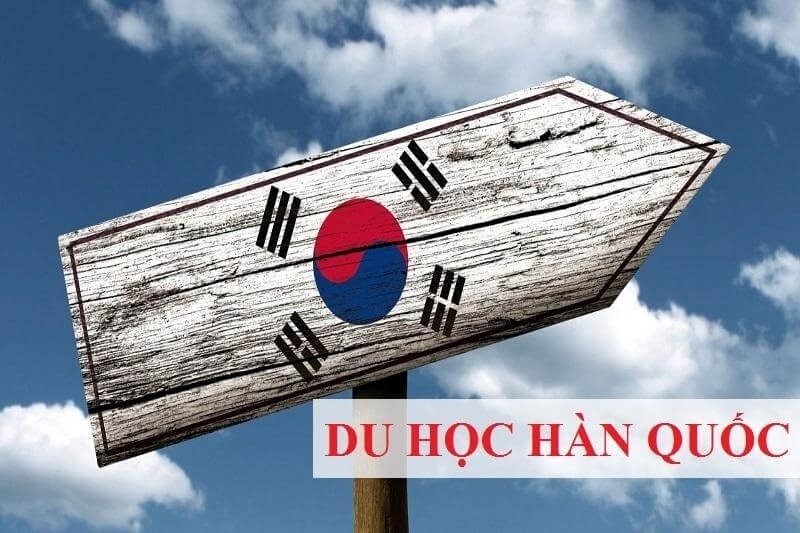 Du học Hàn Quốc nên học ngành gì dễ xin việc trong tương lai - Ảnh 1.