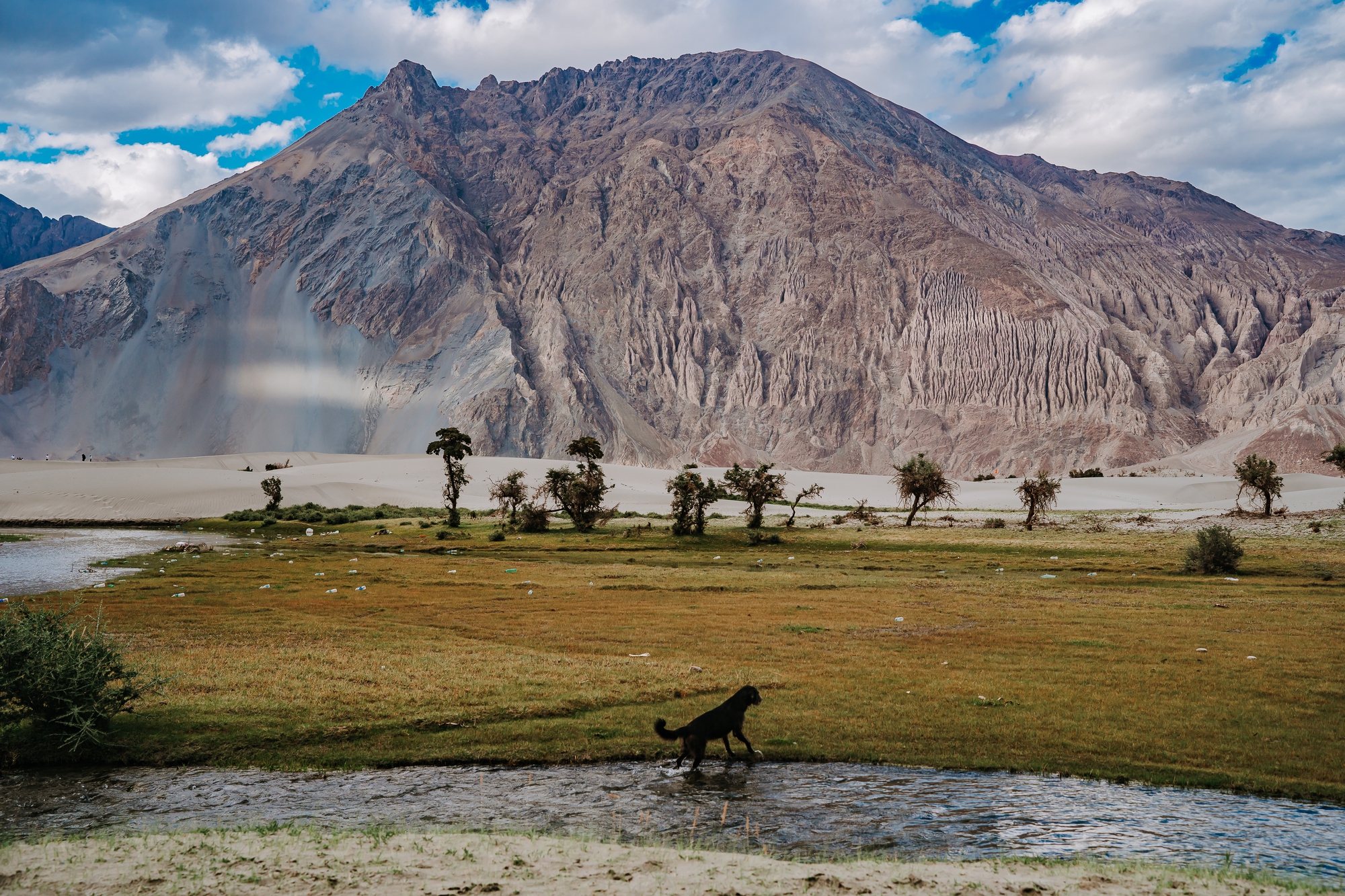 ladakh-64-12861709386871043703877-1728138748824-17281387491662086271267.jpg