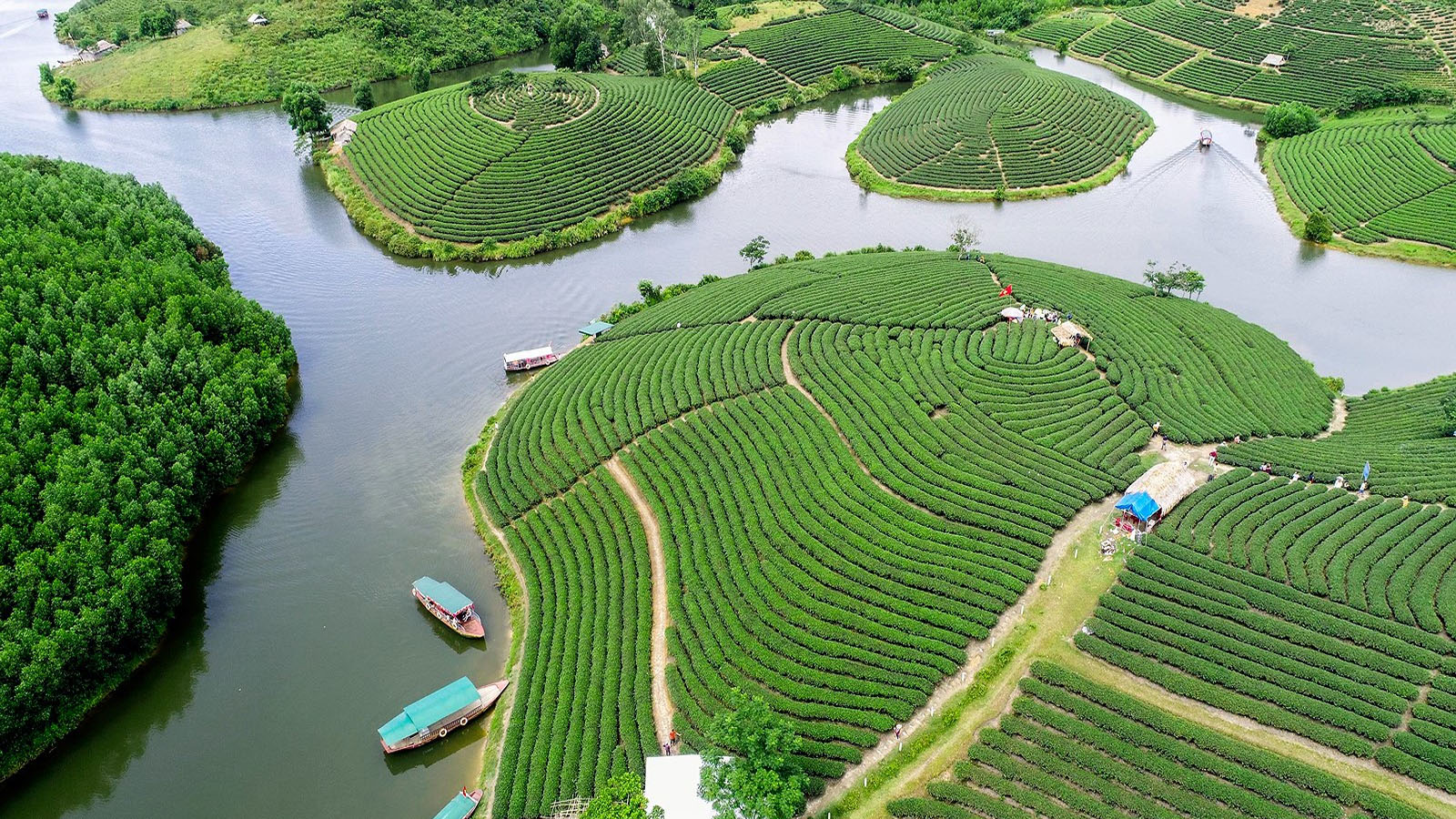 Ngoài biển Cửa Lò, Nghệ An còn có những &quot;ốc đảo xanh&quot; độc đáo: Cảnh được nhận xét không giống nơi nào - Ảnh 1.